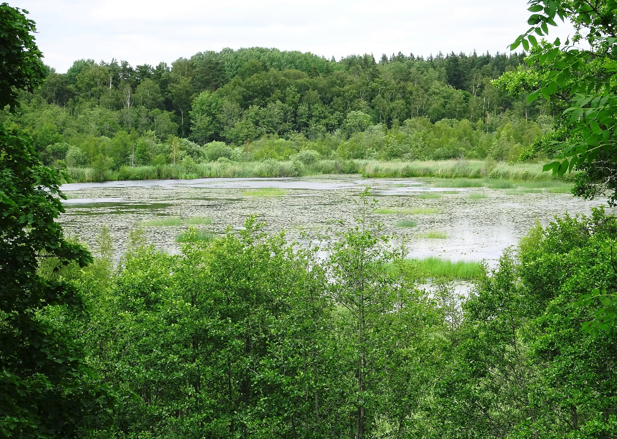 Photo showing: Lillsjön sedd från Vasakullen på Lindholmen