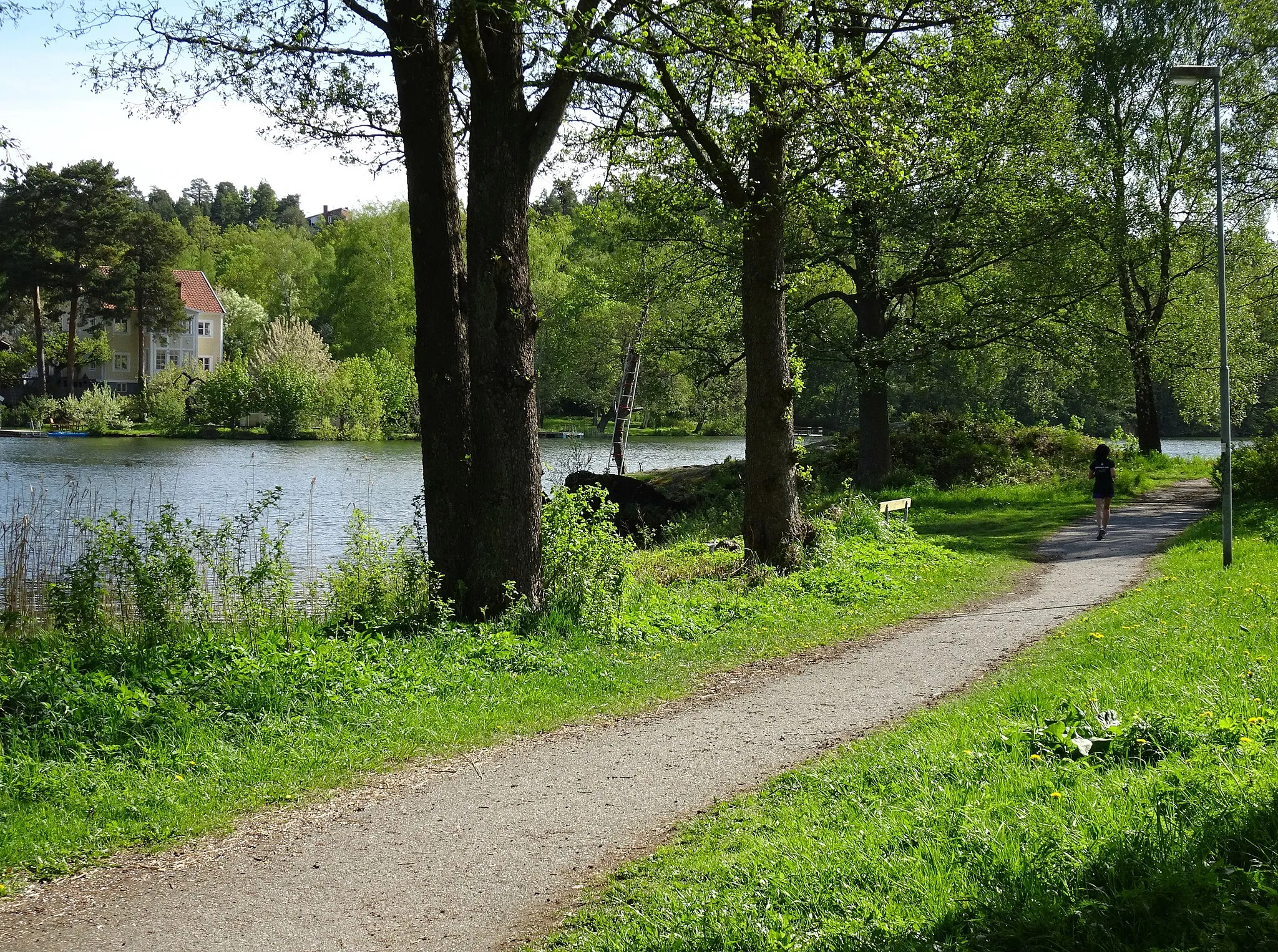 Photo showing: Promenadväg vid Långsjön