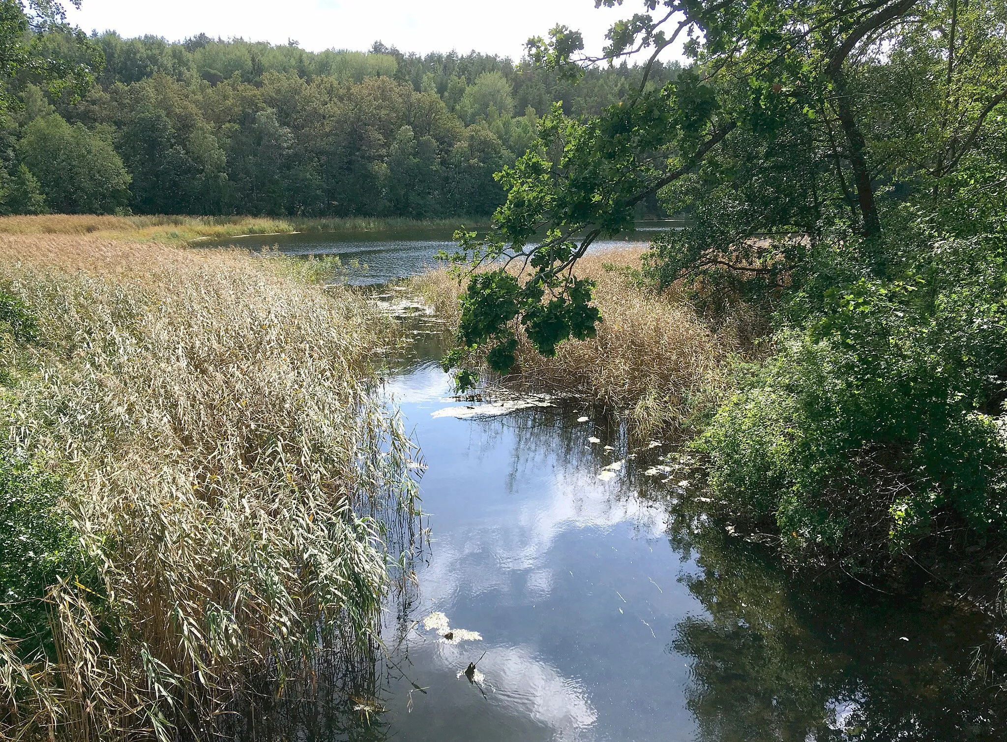 Photo showing: Ekholmsnässjön på Lidingö, sundet mellan Killinge och Ekholmsnäs