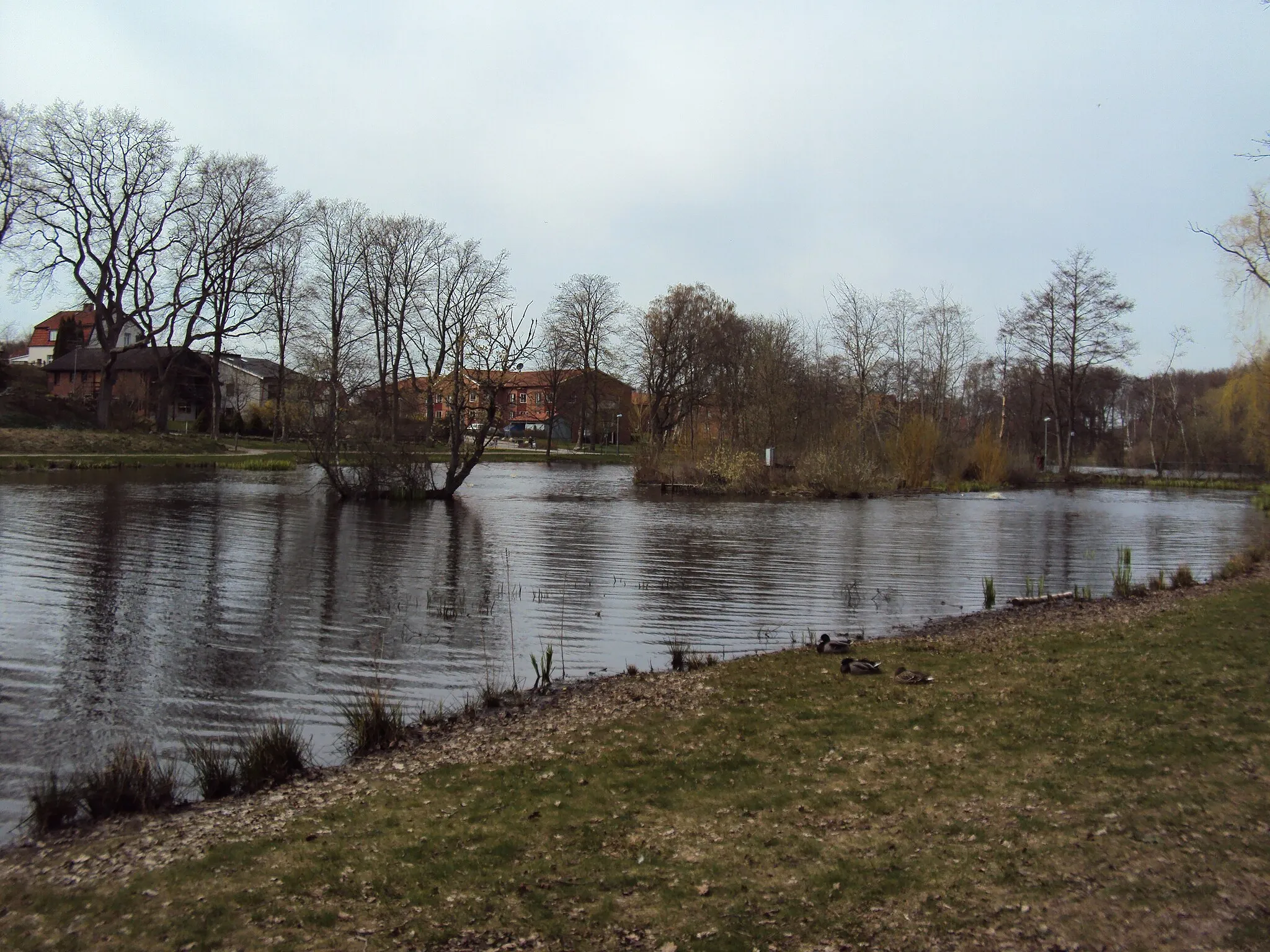 Photo showing: Trollsjön i Eslöv