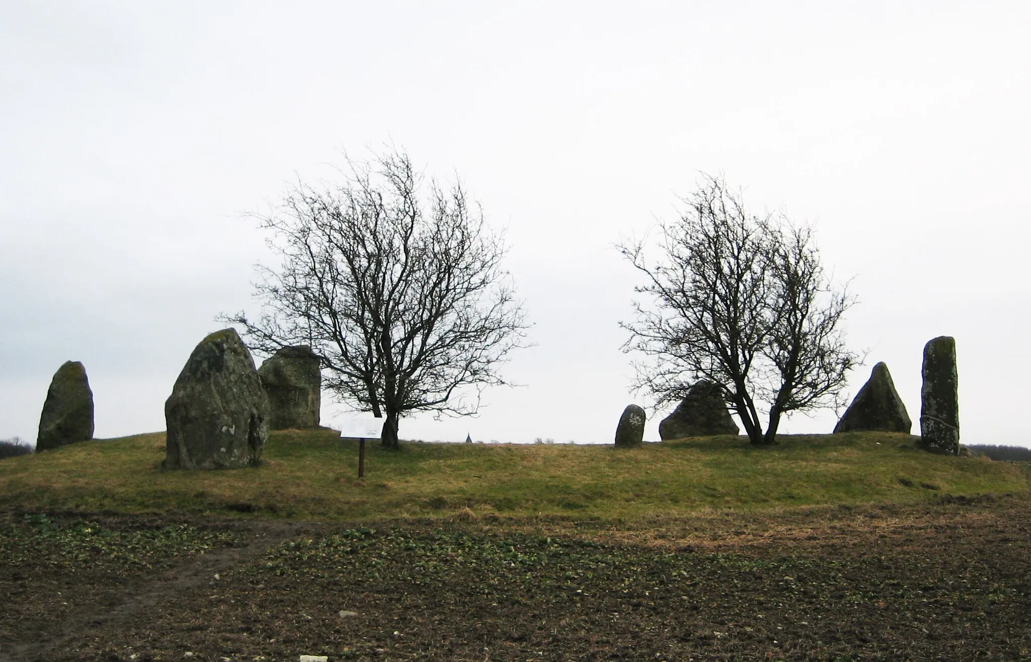 Photo showing: The viking age monument at Västra Strö, Skåne, Sweden. Photo by the uploader 2009-03-14.