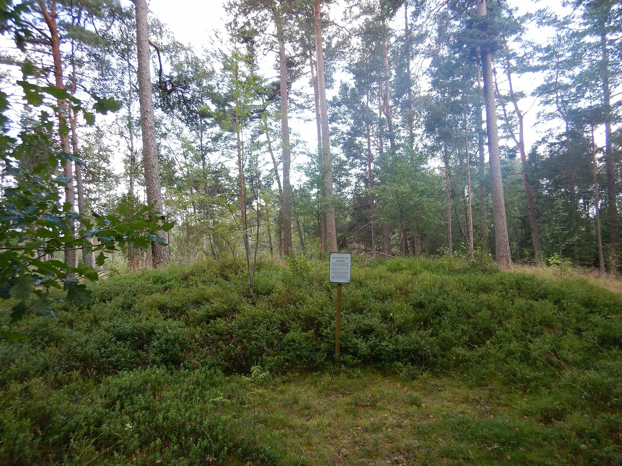 Photo showing: Burial cairn in Loshult, Scania, Sweden. August 2017.