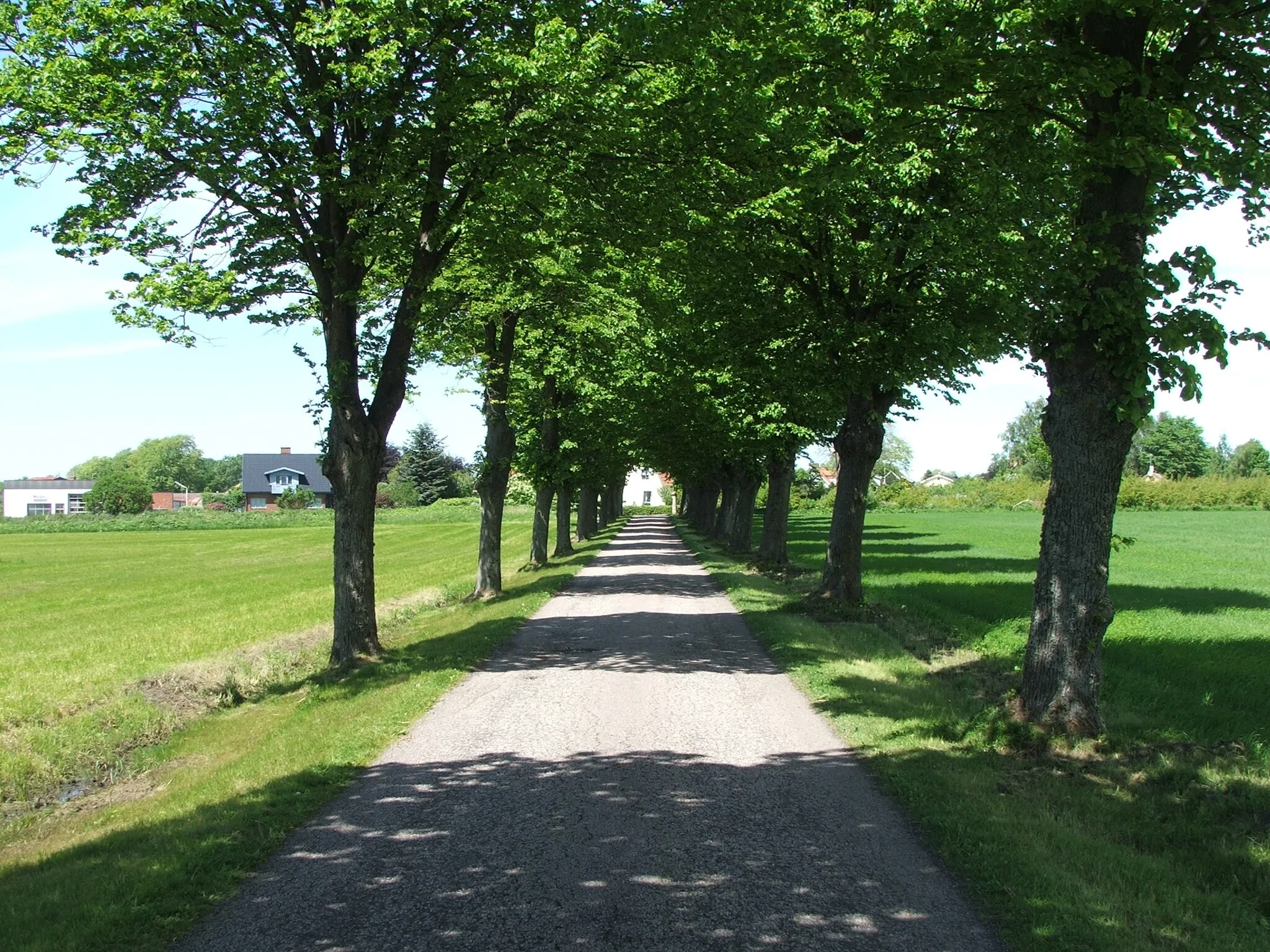 Photo showing: Allén mot Skottorps slott 2006