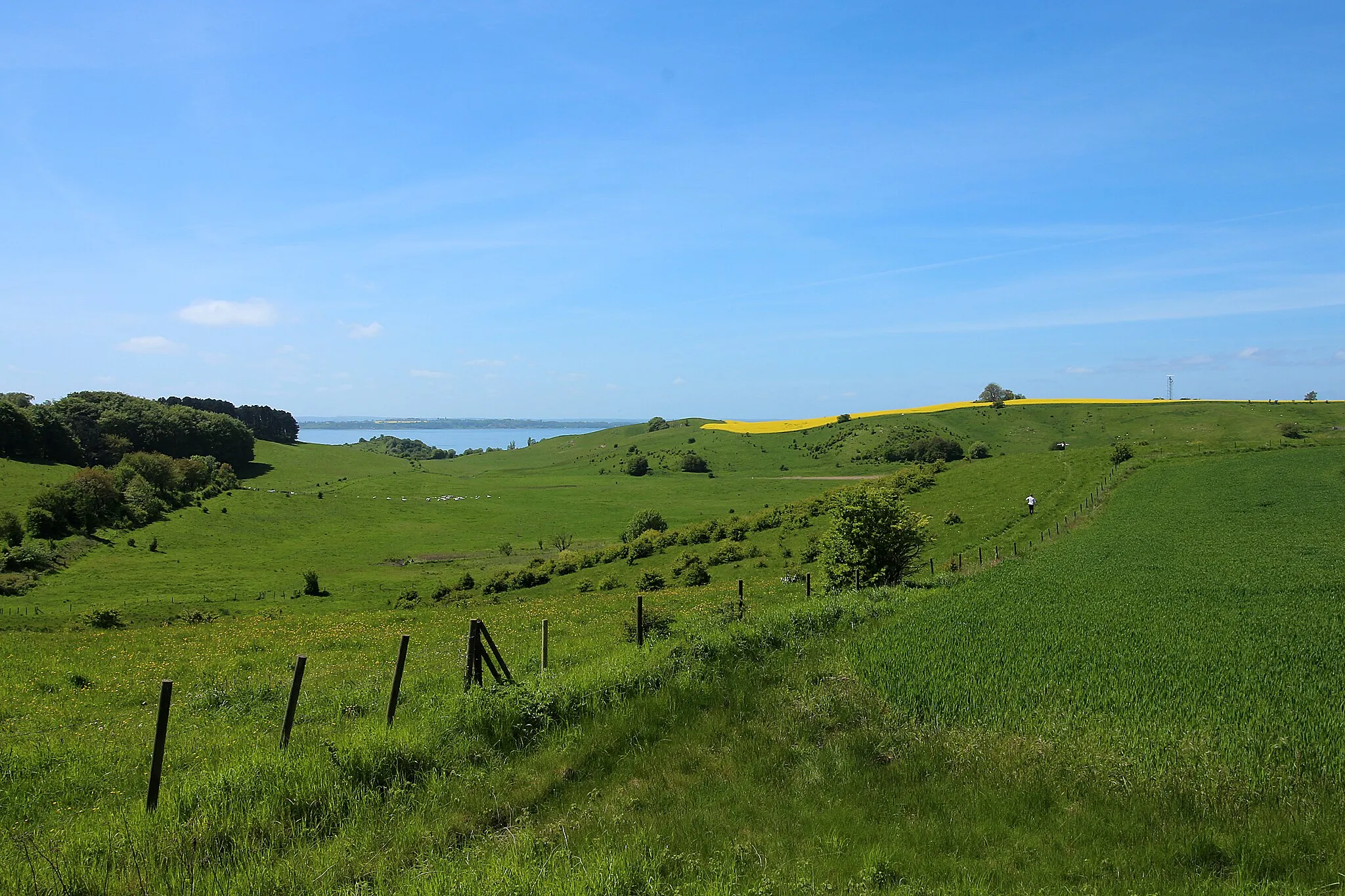 Photo showing: Vy över Glumslövs backar