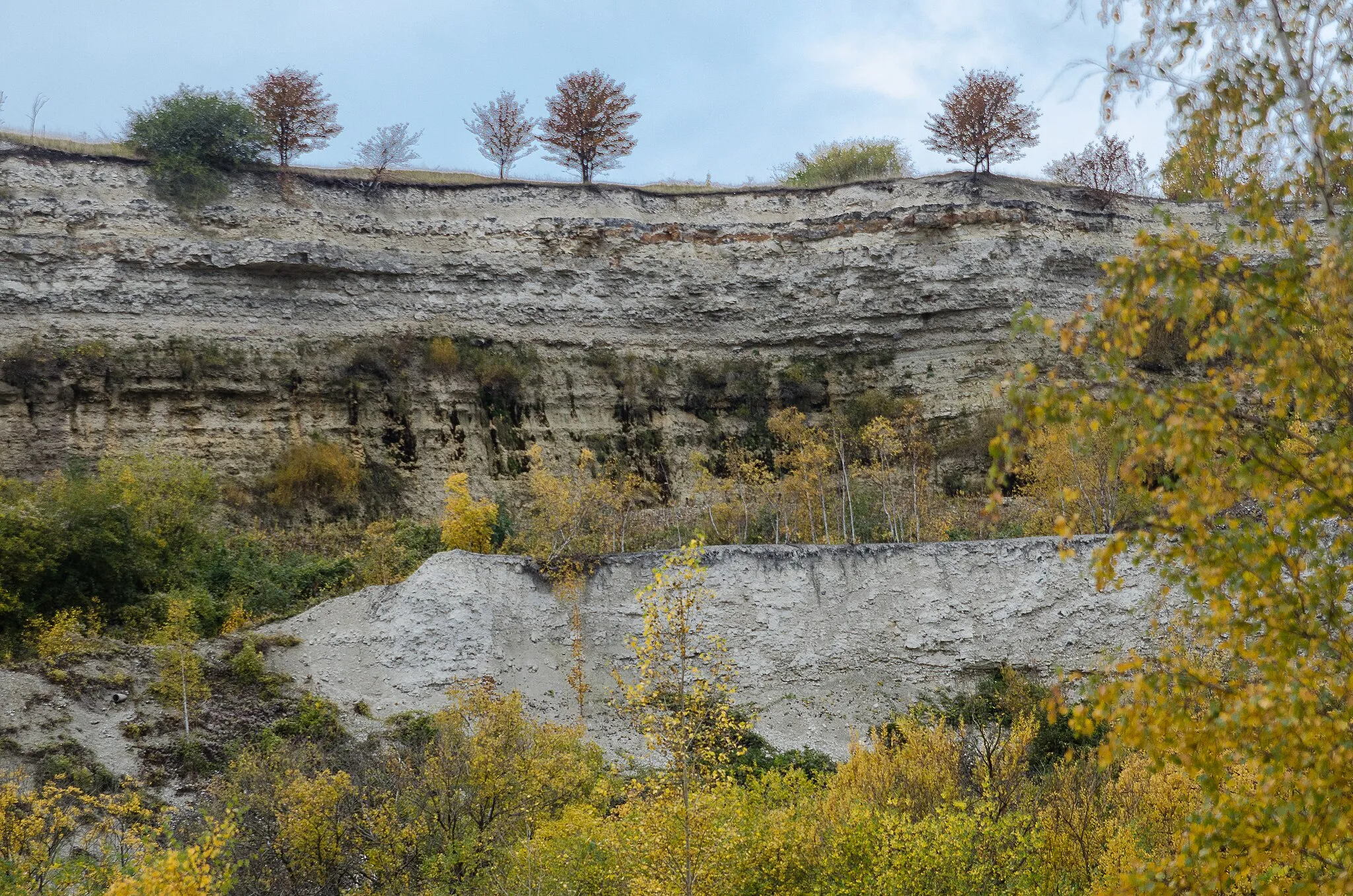 Photo showing: The Limestone quarry at Limhamn, Malmö. Exploitation began in 1866 and was terminated in 1994. Now Nature reserve with specially high natural values. High species diversity,