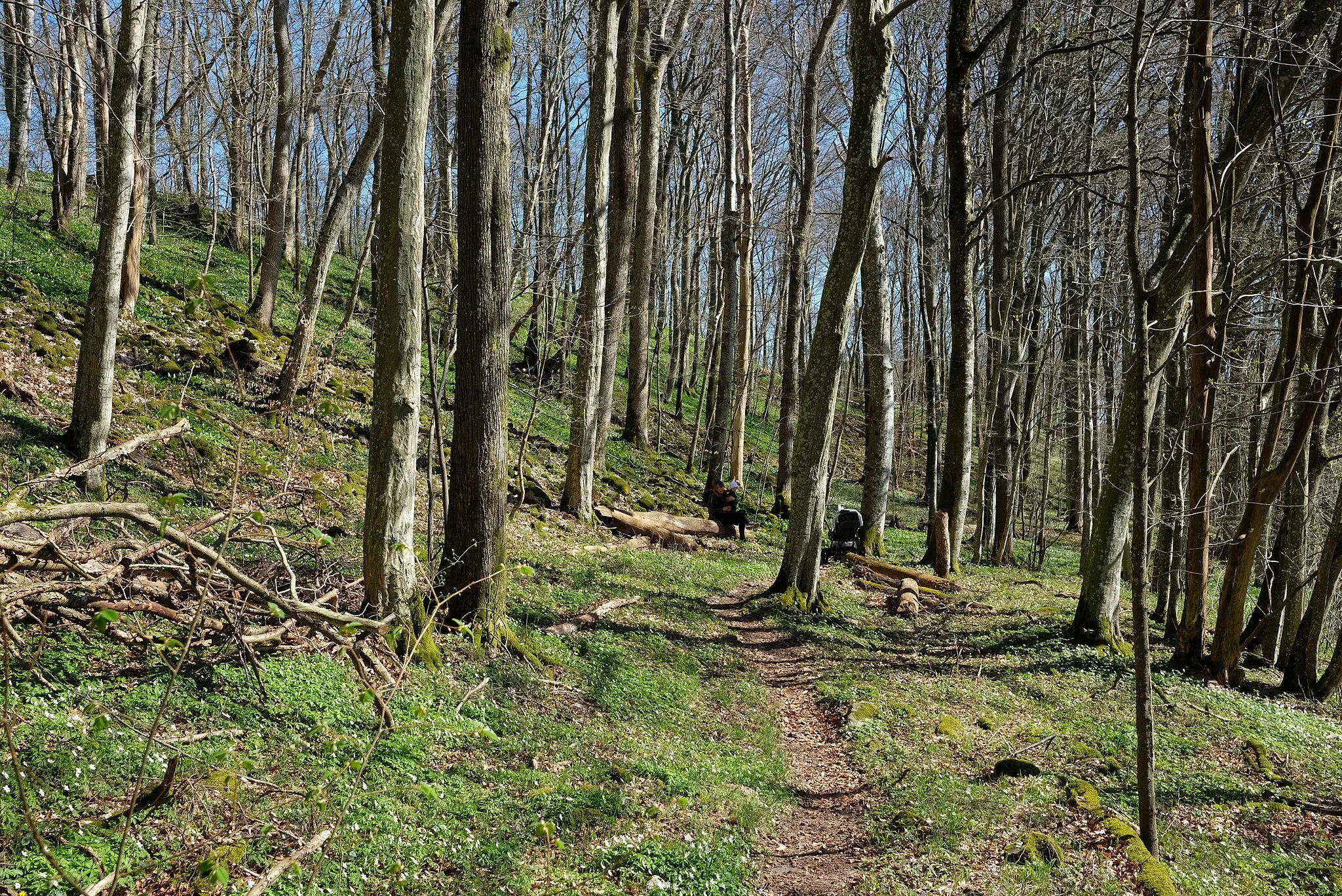 Photo showing: Allarps bjär