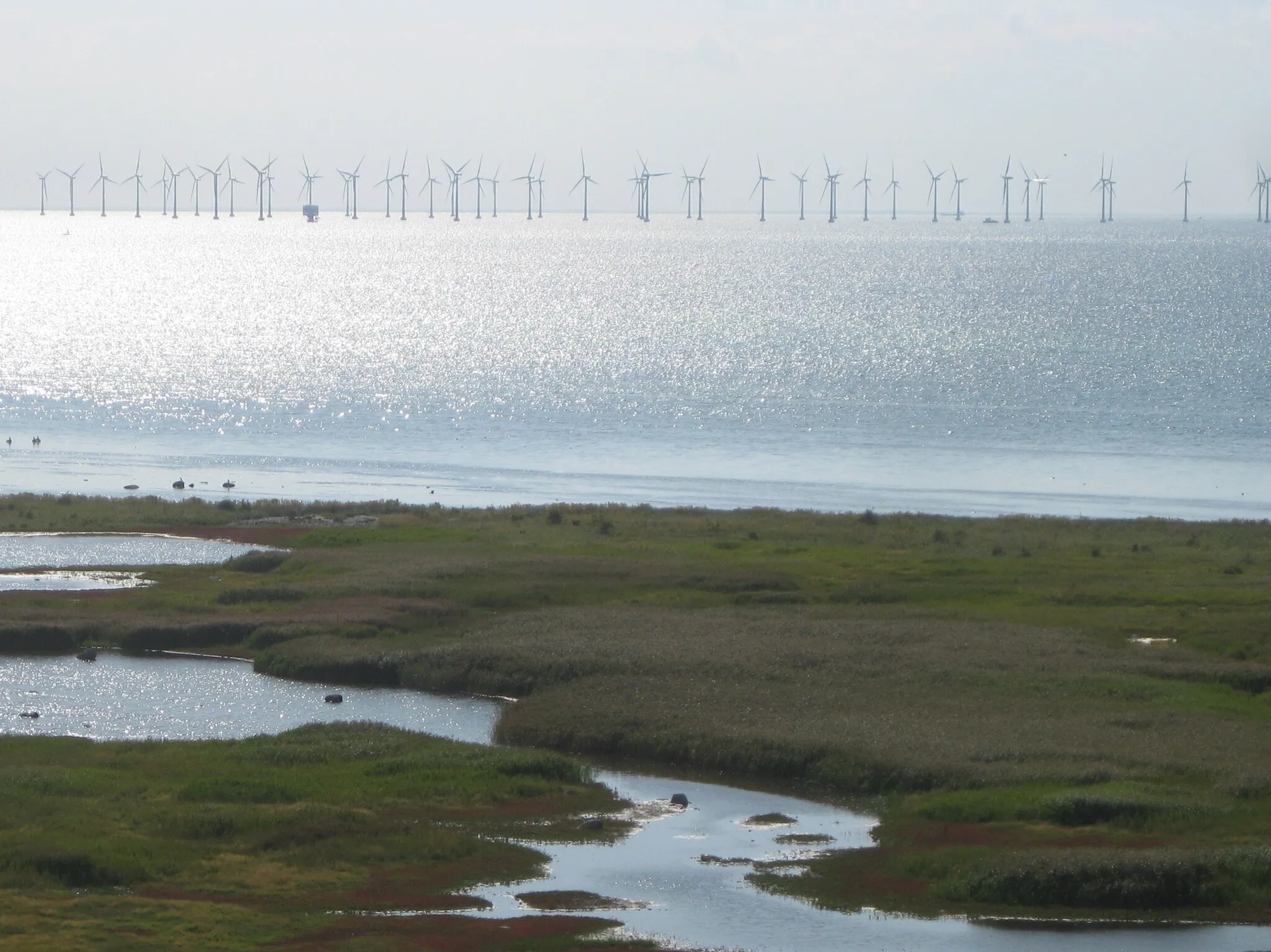 Photo showing: Marshland at Bunkeflostrand near Öresundsbron in Sweden. Lillgrund Wind Farm in the rear.