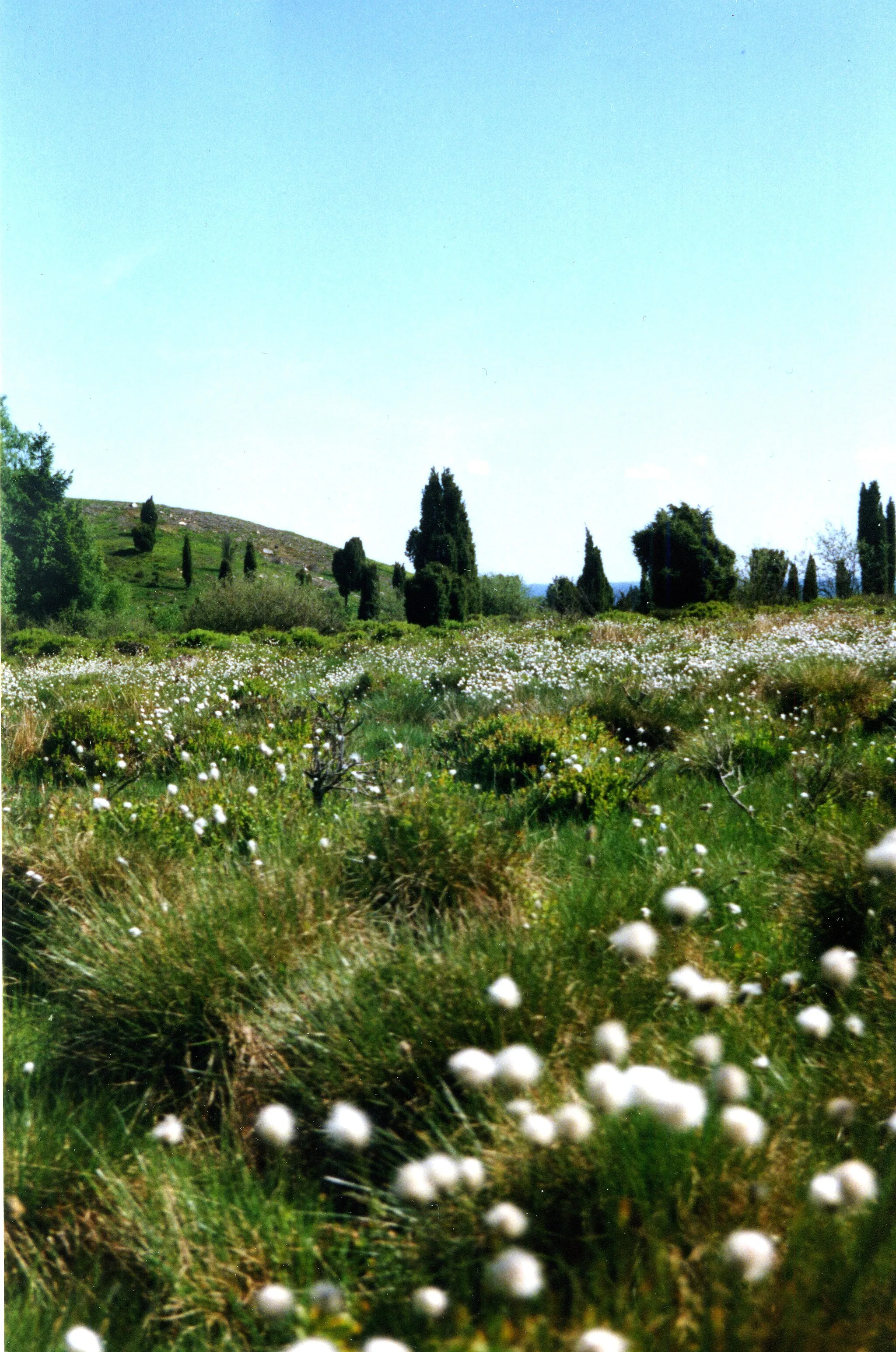 Photo showing: This is a photo of a protected natural area in Sweden with ID: 2001095 .