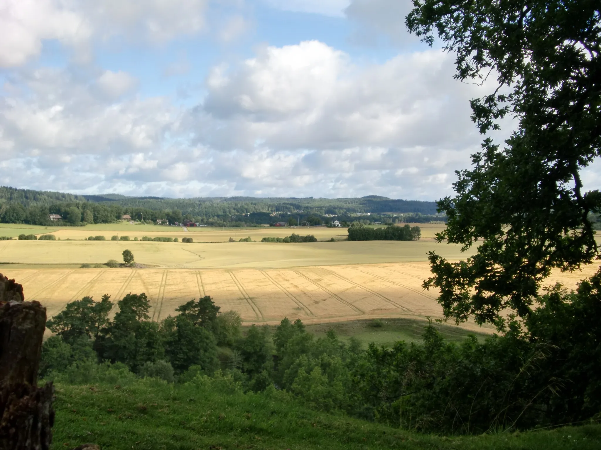 Photo showing: View from the castle Oresten towards the Viskan river valley, close to Skene in Sweden.