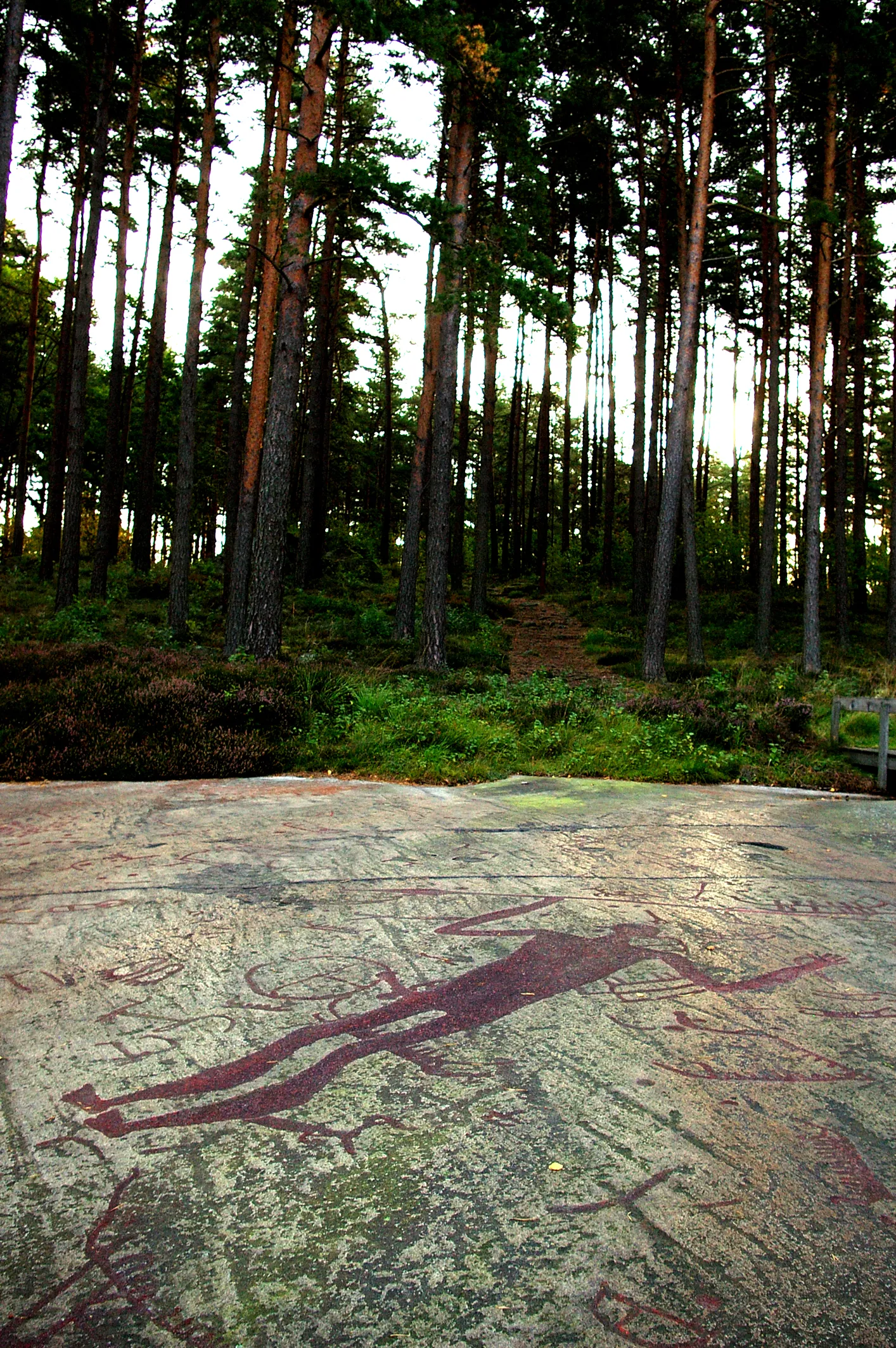 Photo showing: Rock carving area from the bronze age in the parish of Tanum, Bohuslän, a part of Sweden.