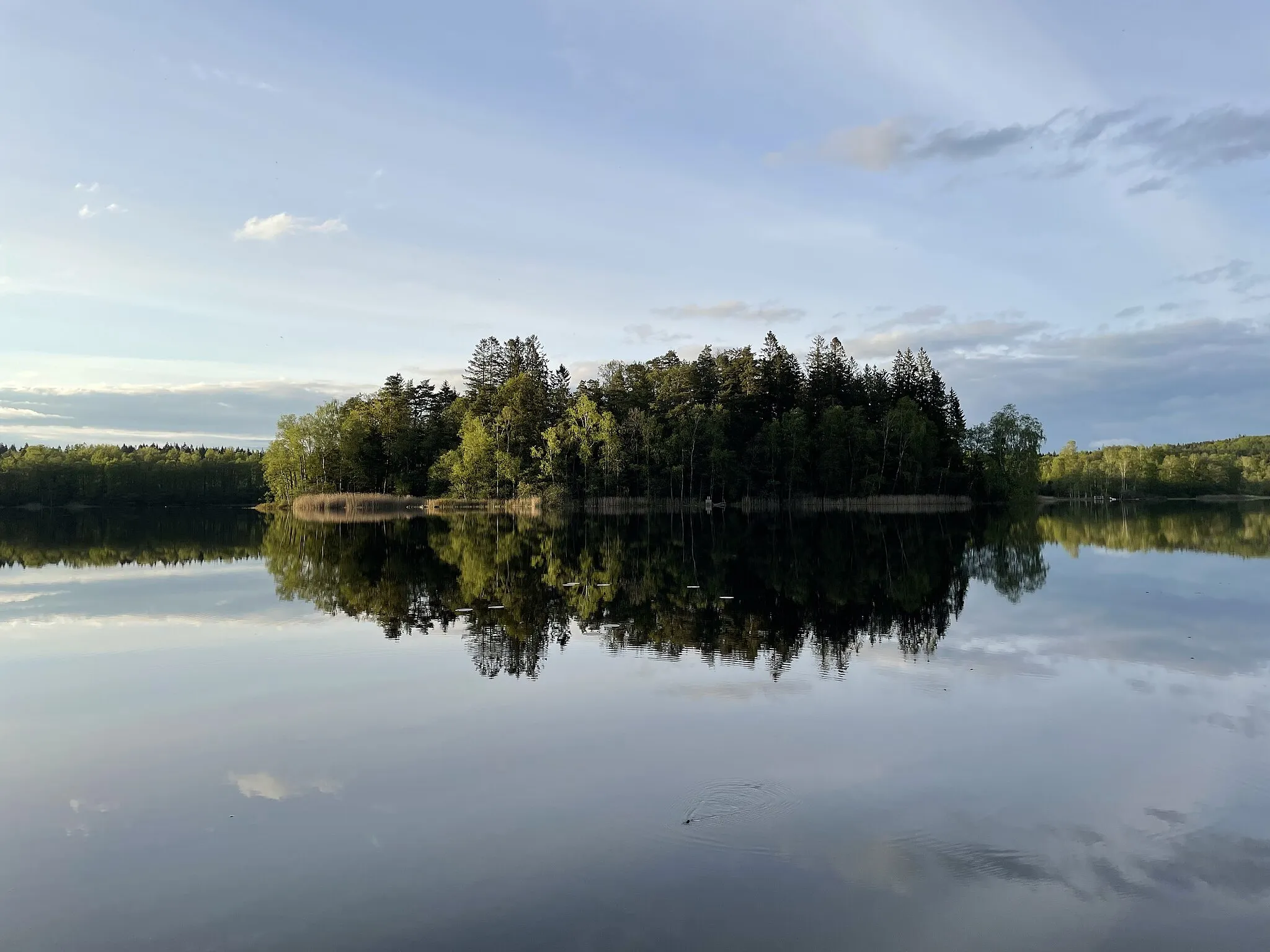 Photo showing: This is a picture of Yasjön, a lake in Varbergs Municipality. The picture was taken in the evening, with a focus on the small island in the middle of the lake.