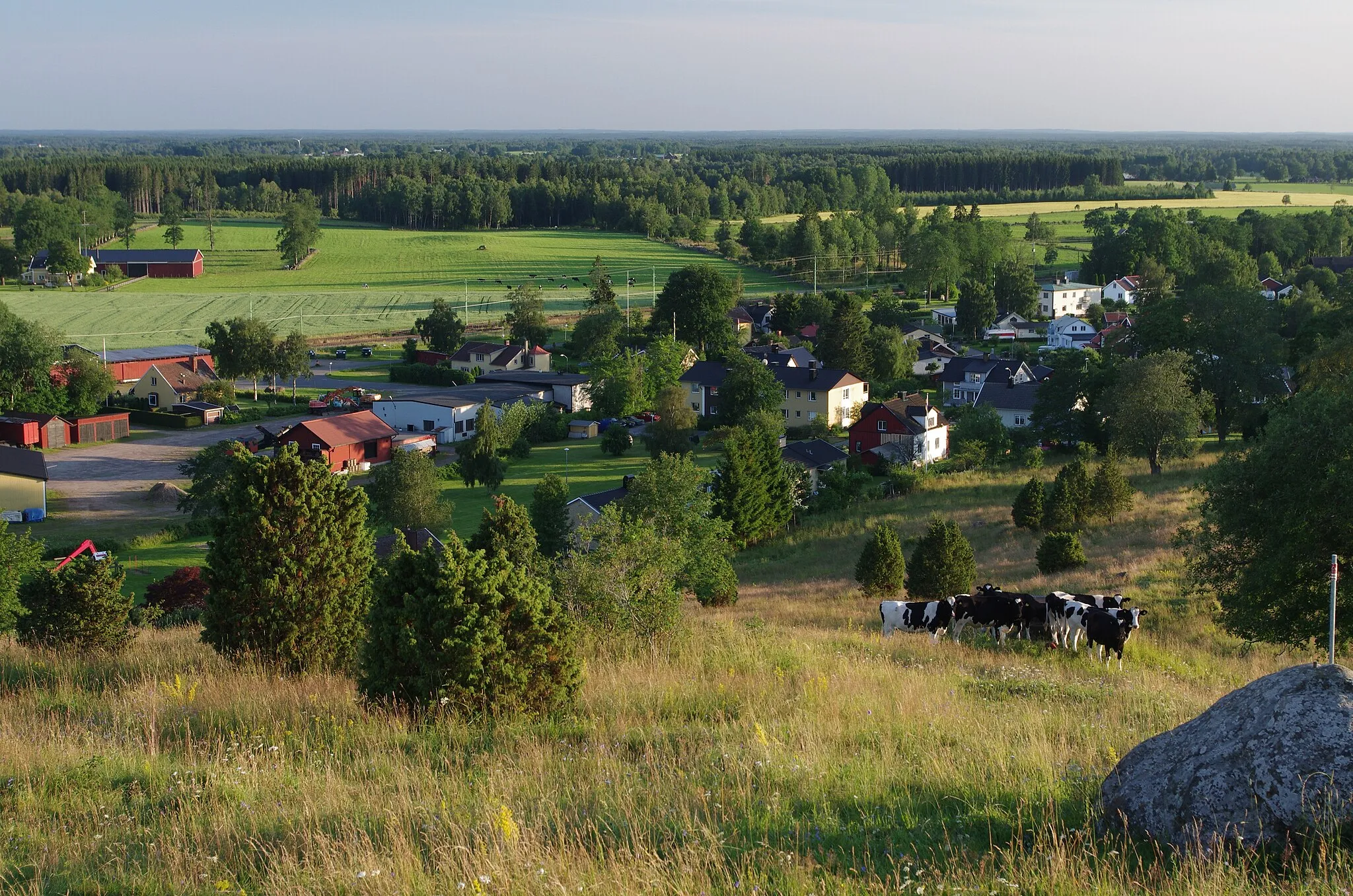 Photo showing: Odenskulle, en tätort i Falköpingskommun. Fotot är taget från den hedniska kultplatsen Odenskulle. Stenen i förgrunden är Älvastenen.
Odenskulle har i äldre tider varit en betydelsefull plats. Den 1 november 1561 befallde Erik XIV att Falköping skulle flyttas till Odenskulle. Flytten förbereddes, men nordiska sjuårskriget kom emellan och Västergötland plundrades och brändes av danska trupper, och därefter skrinlades planerna. Ytterliggare tre kungar har besökt Odenskulle under fältmanöver. Karl XV på 1860-talet, Oscar II i slutet av 1860-talet och Gustav V år 1912. På 1700-talet fanns en marknadsplats på Odenskulles väst- och nordsida.
Under senare hälften av 1800-talet gick åldermannen varje lördag, under perioden 1 maj - 1 oktober, för att på Odenskulles topp blåsa in helgsmål. Den odalman som inte åtlydde uppmaningen att avsluta arbetet fick plikta 8 shilling till roten. Upprepades förseelsen nästpåföljande vecka så fördubblades böterna. Vid pings och midsommar blåstes det två dagar i rad.

Sedan över 100 år tillbaka i tiden har det tänts påskeldar på Odenskulle för att skrämma bort trollpackor och annat otyg, och under 1900-talet för att roa och skapa gemskap. Sedan 1960 tänds årligen en valborgsmässoeld.