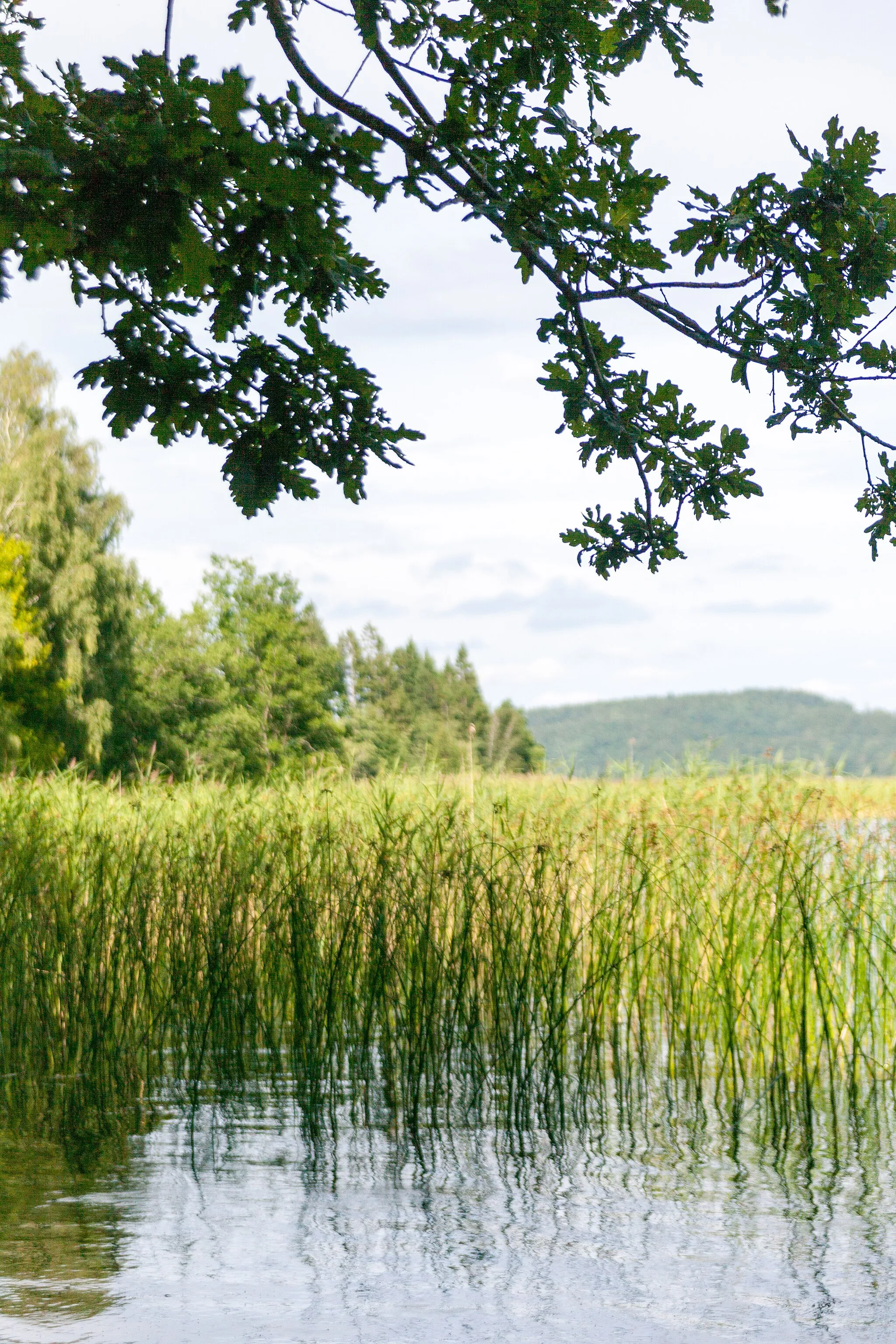 Photo showing: Öresjön