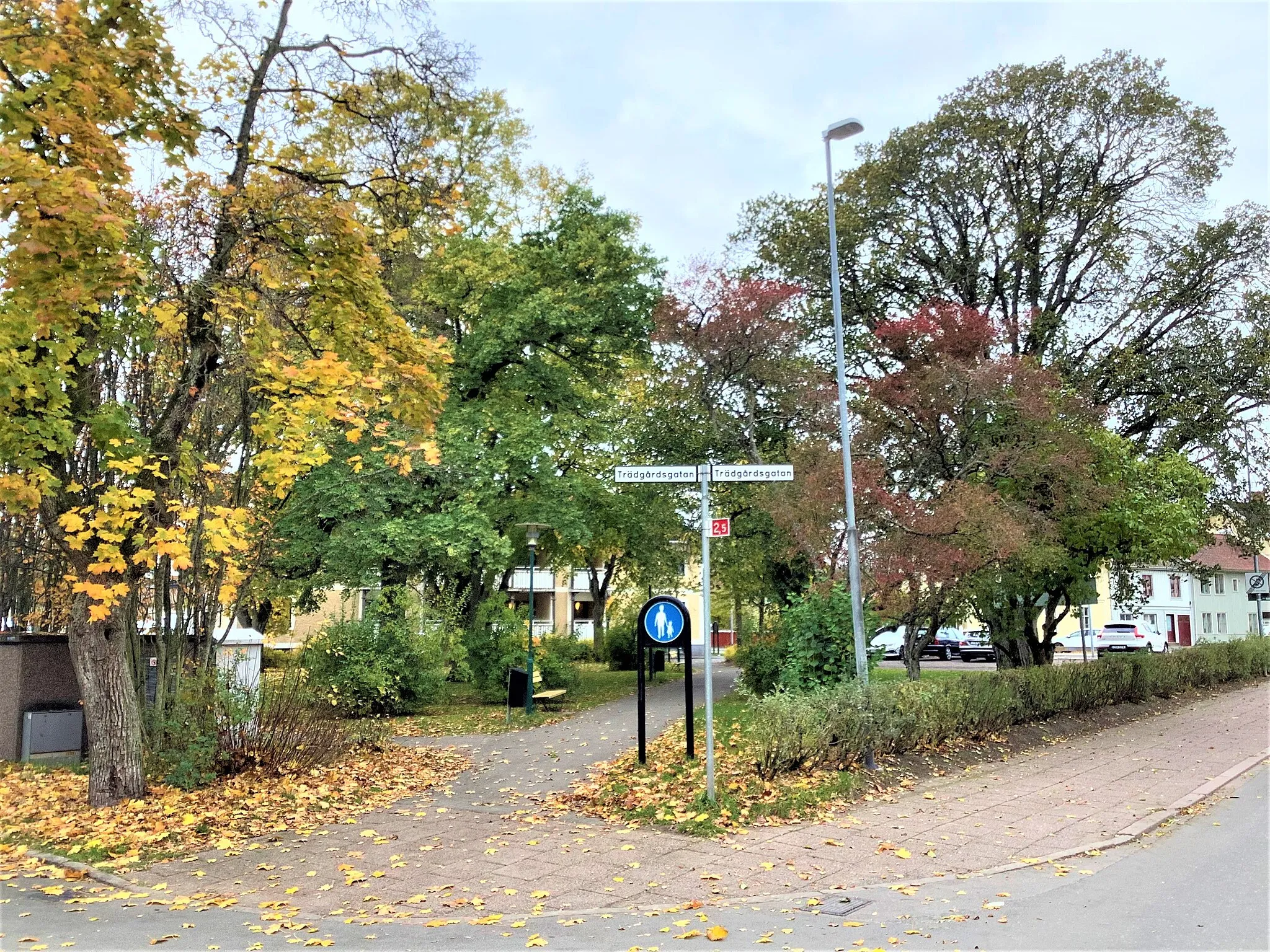Photo showing: Jacobsparken in Hjo, Sweden, seen from the north east, Torggatan-Trädgårdsgatan. Jacobsparken is surrounded by Trädgårdsgatan in the East, Skolgatan/Sandtorget in the West, Sjögatan in the South and Torggatan in the North.