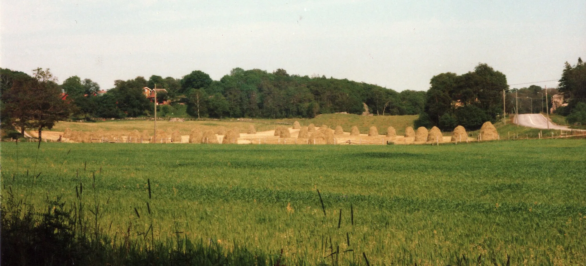 Photo showing: Farmland in western Sweden (Lindome, south of Göteborg), mid-1987, with drying hay on ryttarehässjor on field in center of picture.