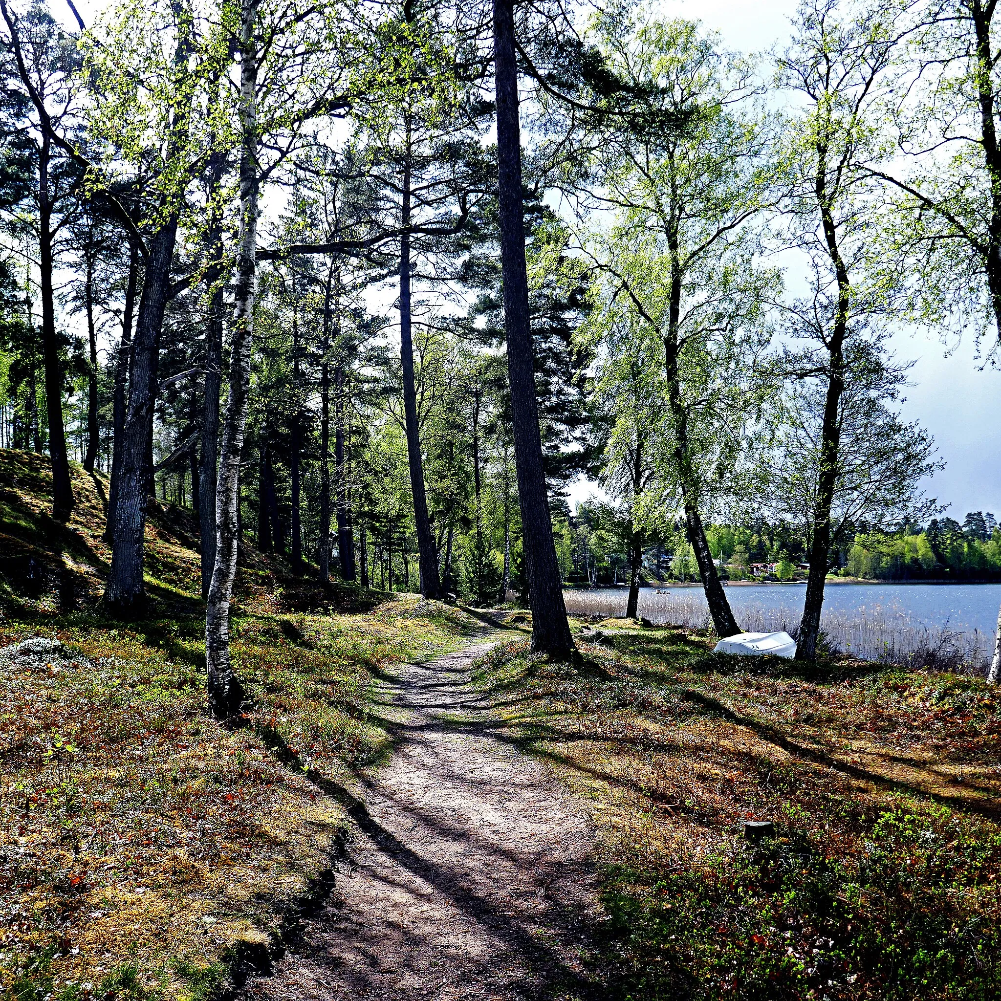Photo showing: Walking along one of the 97.500 Swedish lakes on a Spring morning.