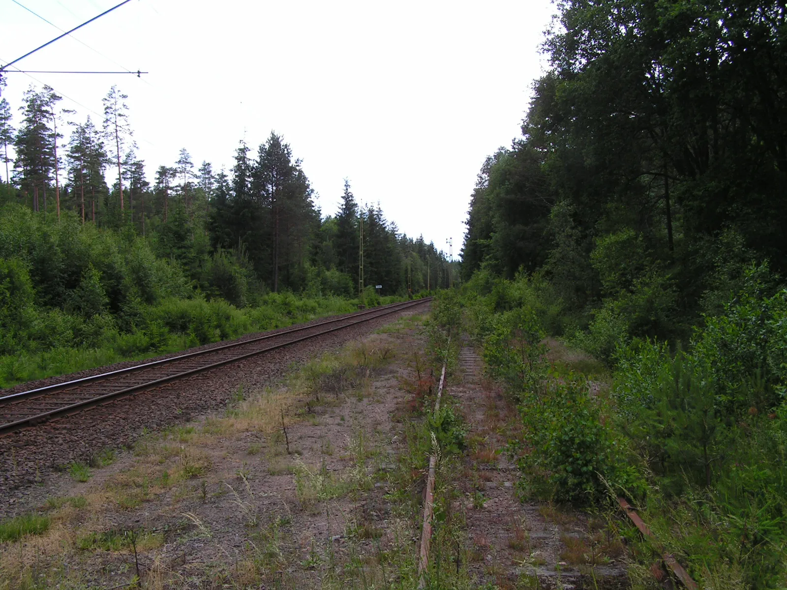 Photo showing: Före detta stickspår till bl a Viskafors Gummifabrik. Viskadalsbanan, Svaneholm