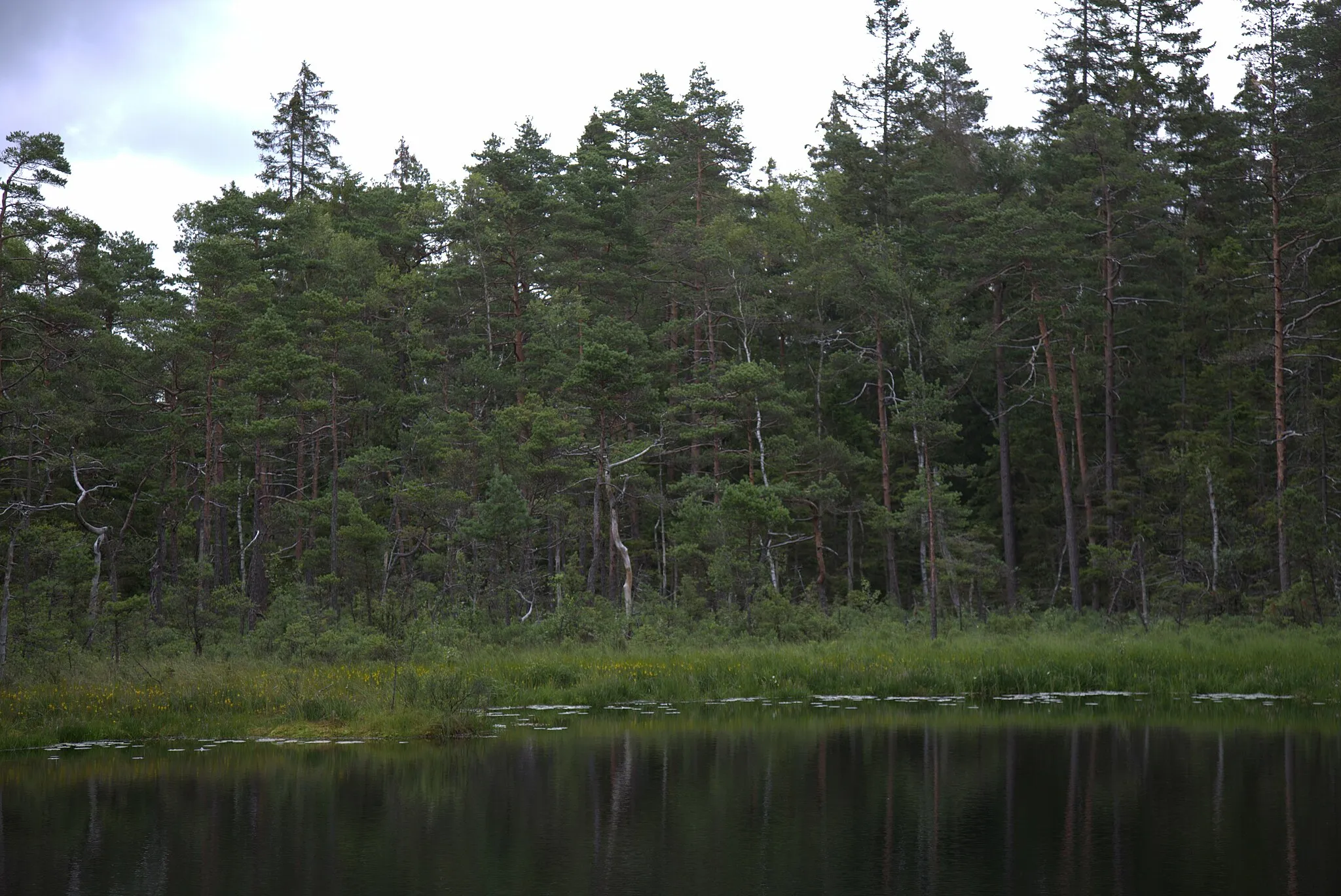 Photo showing: Kroppesjön i Stenungsunds kommun.