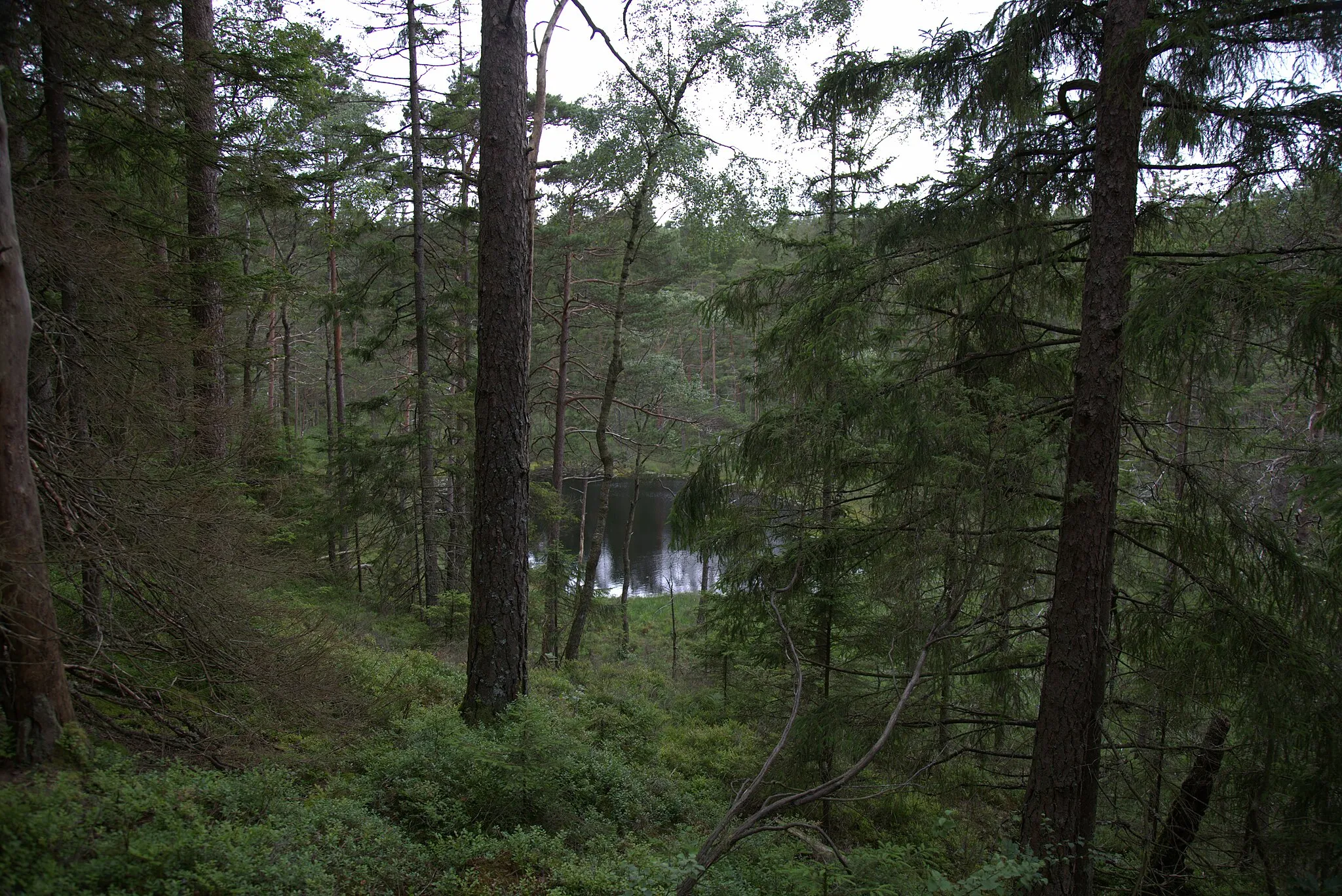 Photo showing: Kroppesjön i Stenungsunds kommun.