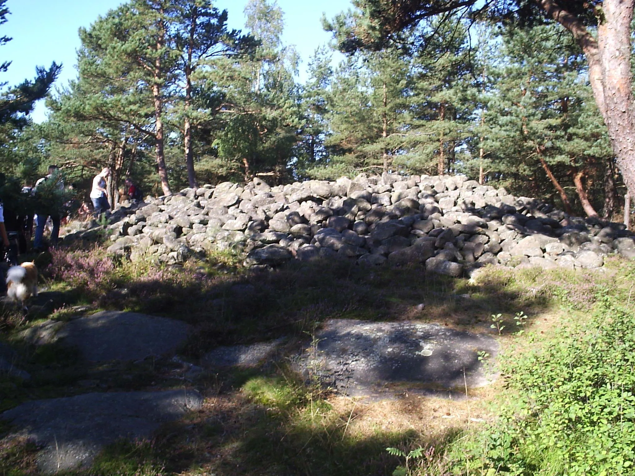 Photo showing: Det runda gravröset Skändlarös (RAÄ-nr Säve 49:1) på Skändlaberget i Säve socken på Hisingen, Göteborgs kommun, Bohuslän, Västra Götalands län, Sverige. Fotograferat den 1 september 2005 av Harri Blomberg.