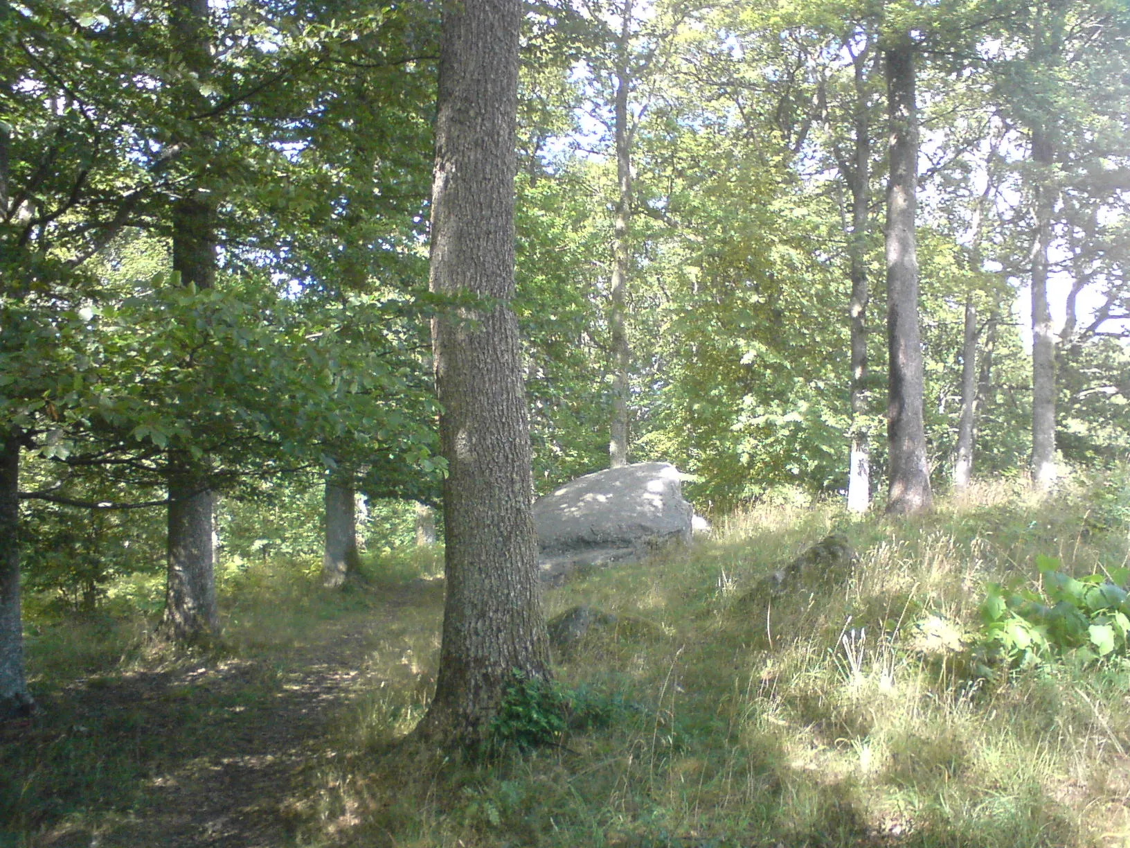 Photo showing: The woods in the north of the parish church of sv:Ucklum, Sweden. In Swedish the church is called sv:Ucklums kyrka.