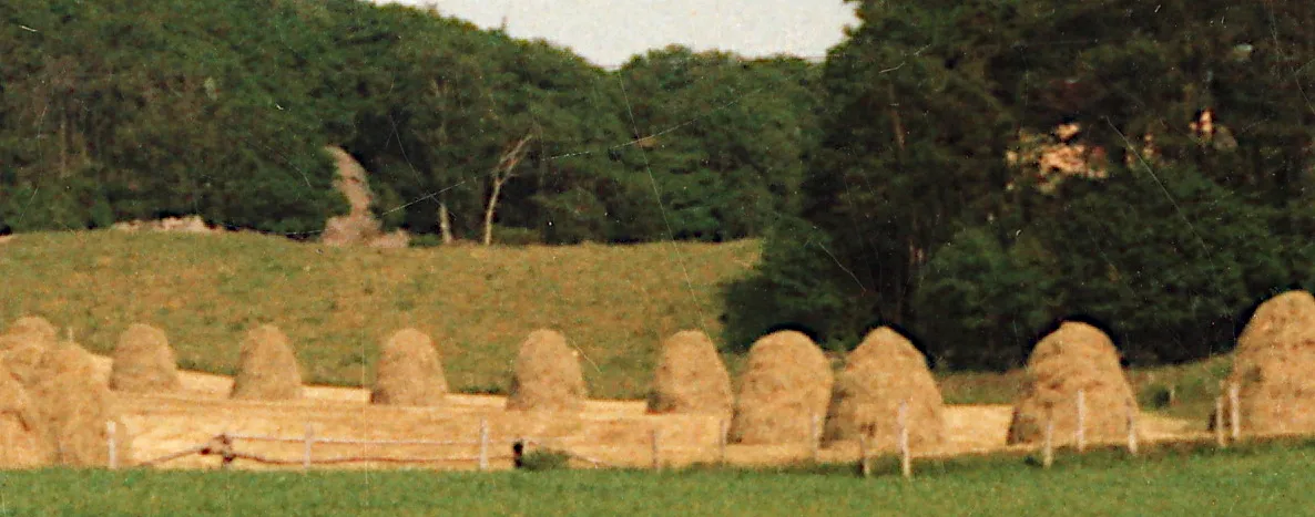 Photo showing: Drying hay on ryttarehässjor, in western Sweden (Lindome, south of Göteborg), mid-1987.