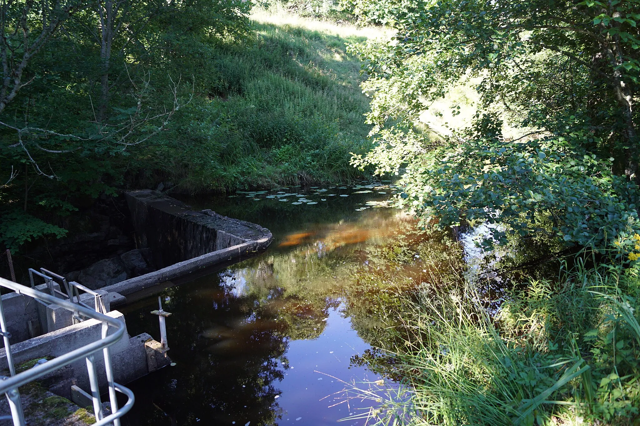 Photo showing: The water mill pond in Slittorp, Skepplanda socken, Ale Municipality, Sweden.