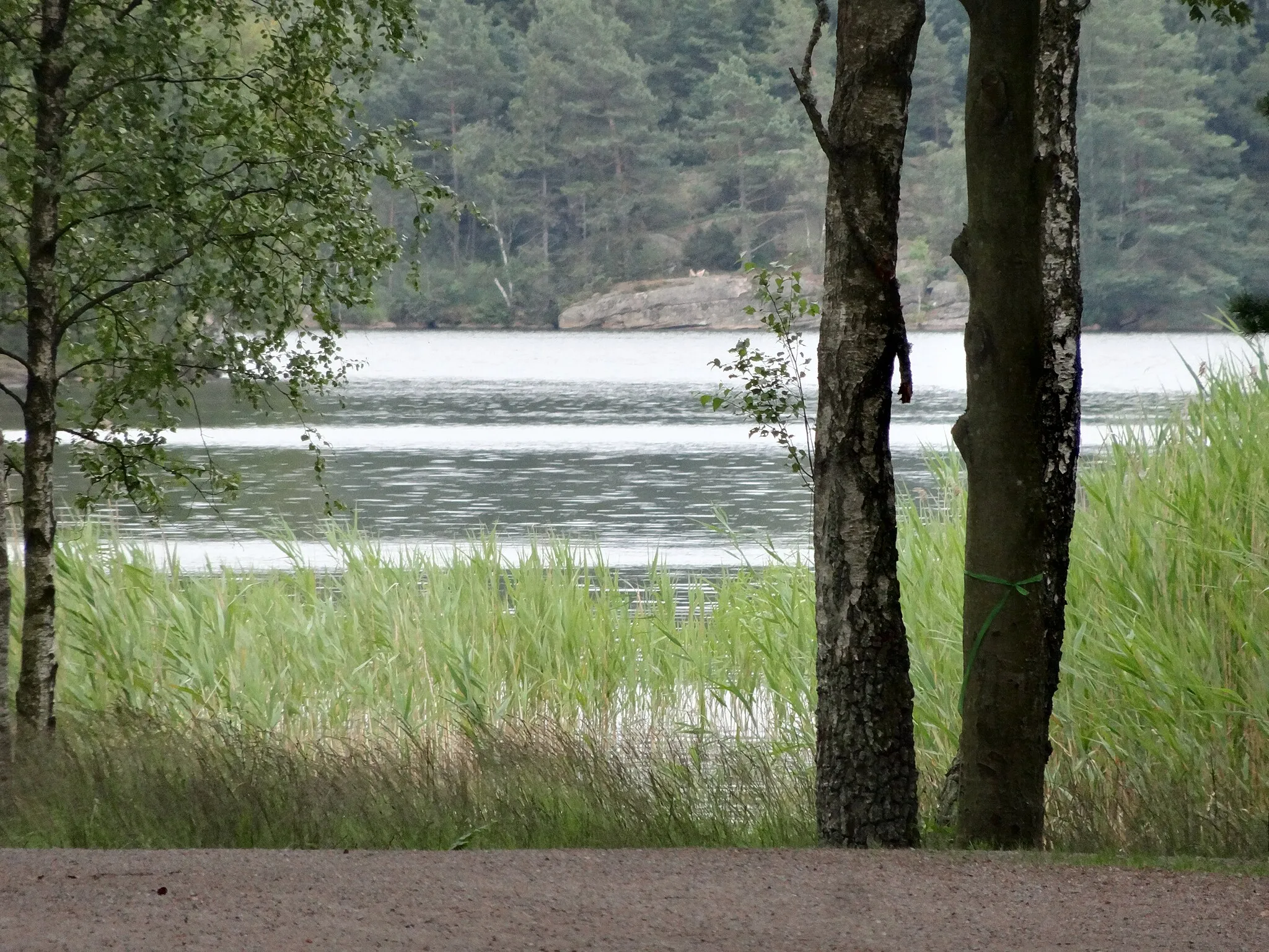 Photo showing: Delsjöområdet, ett grönt område i Västra Götaland i anslutning till Göteborgs stad.
Stora Delsjön skymtar.