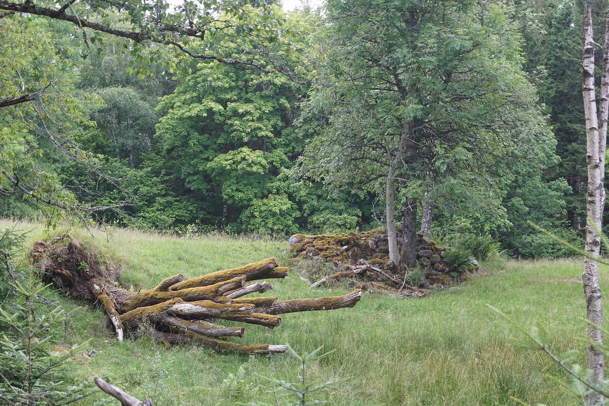 Photo showing: The nature reserve Idåsen in the wilderness Risveden in Alingsås Municipality, Sweden.