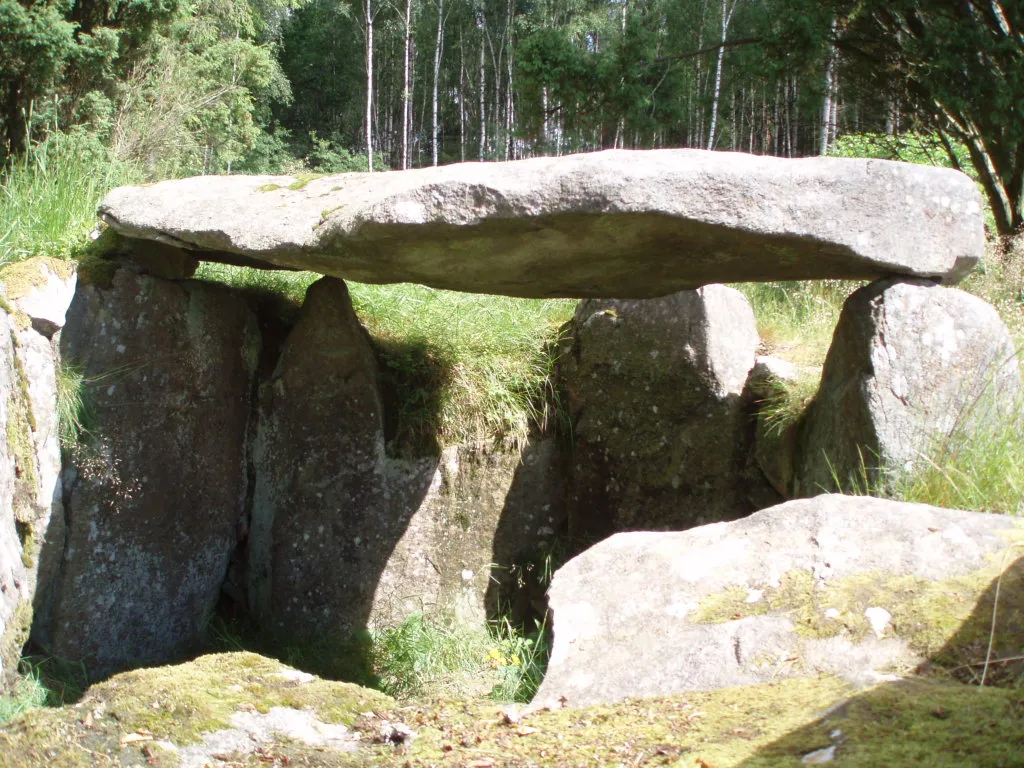 Photo showing: Tolarpsgånggriften, Halmstads kommun, Halland, Sverige.