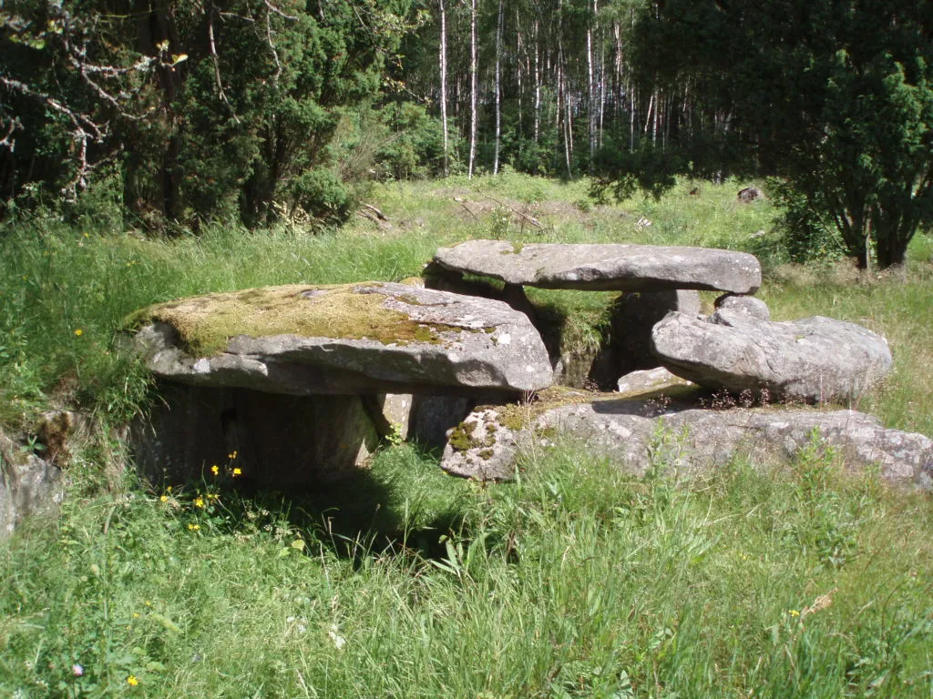 Photo showing: Tolarpsgånggriften, Halmstads kommun, Halland, Sverige.