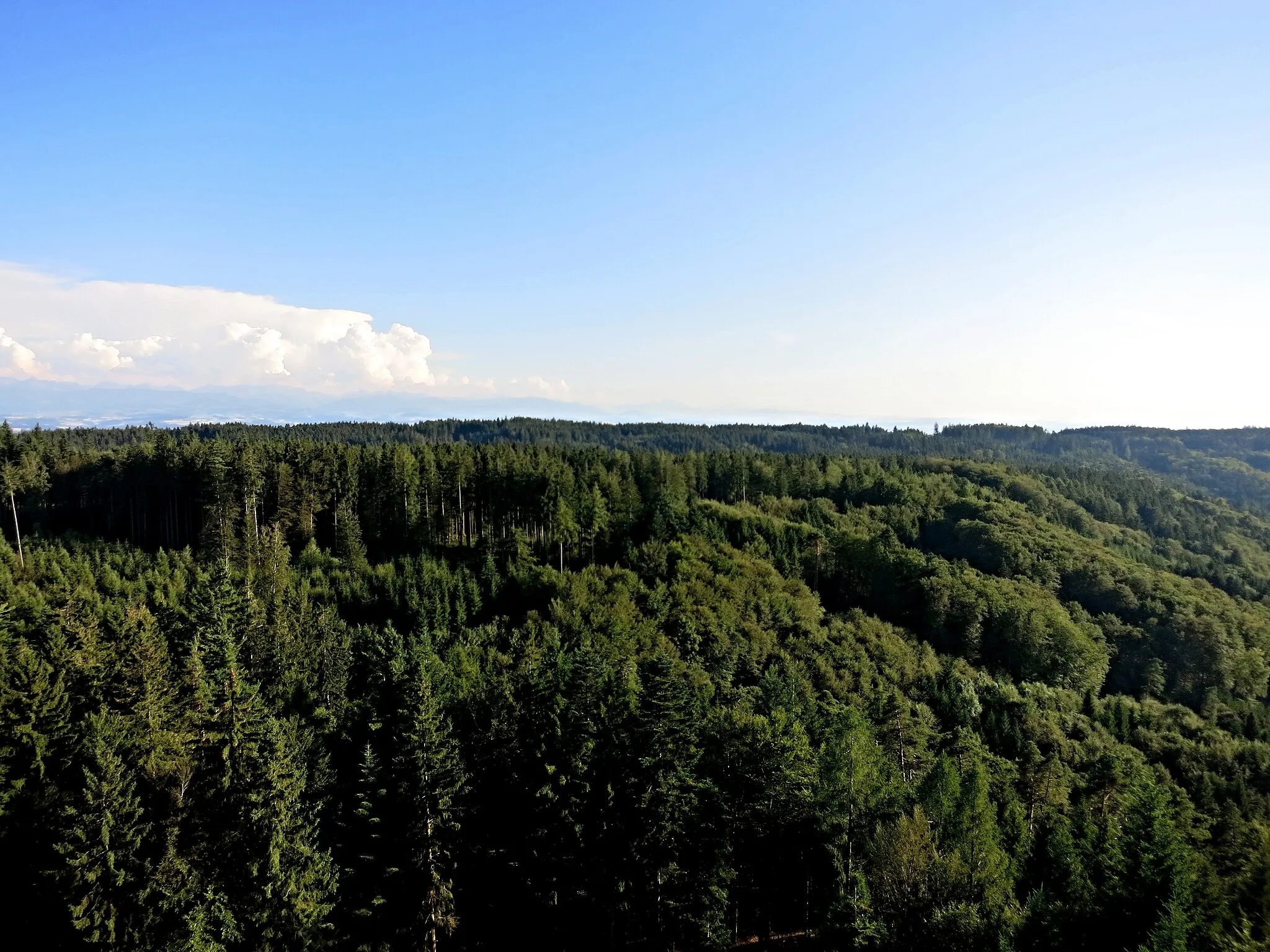 Photo showing: Aussicht vom Chutzenturm Richtung Süd Westen