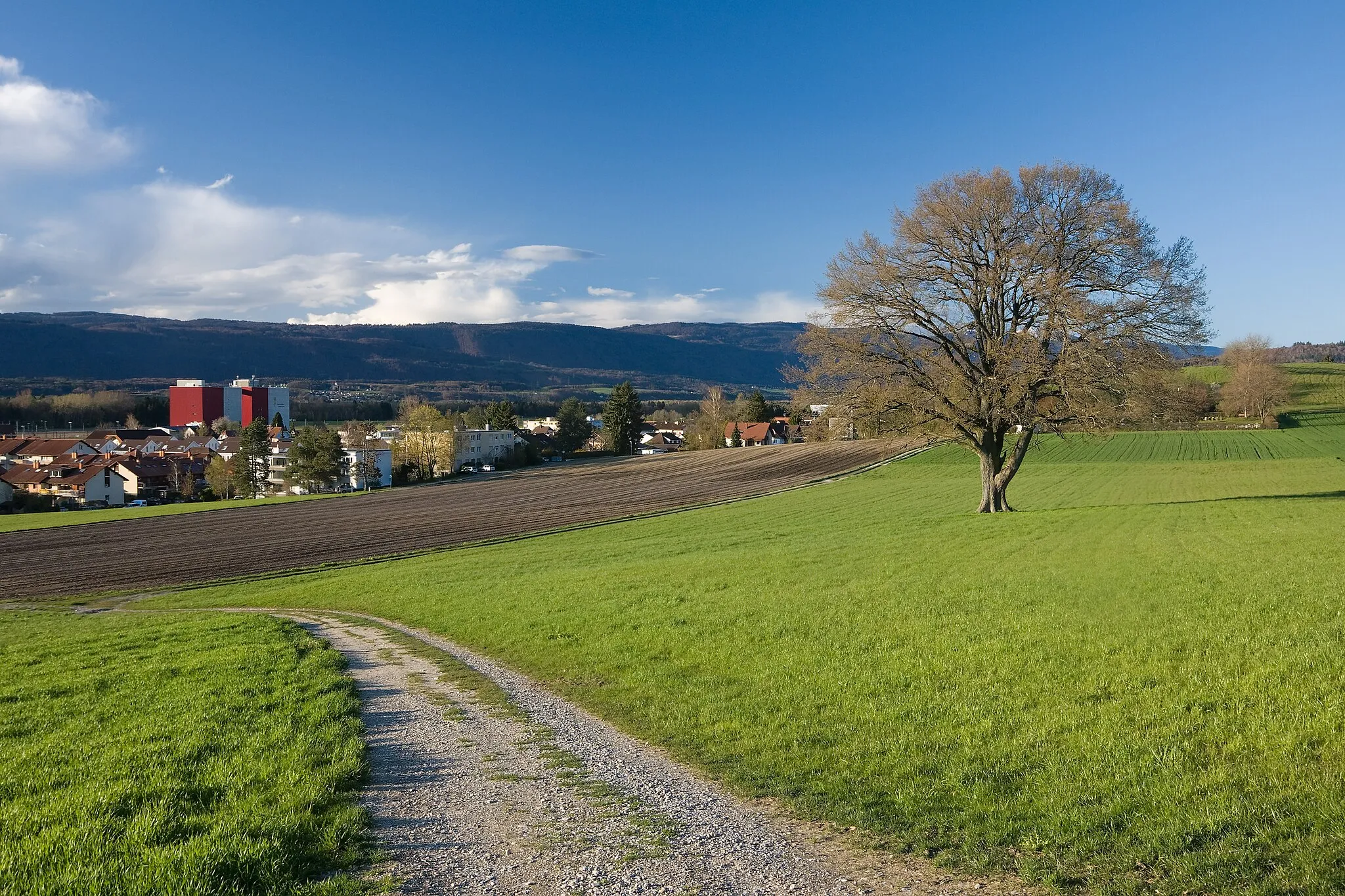 Photo showing: Landschaft mit Dorf: Busswil bei Büren, Schweiz