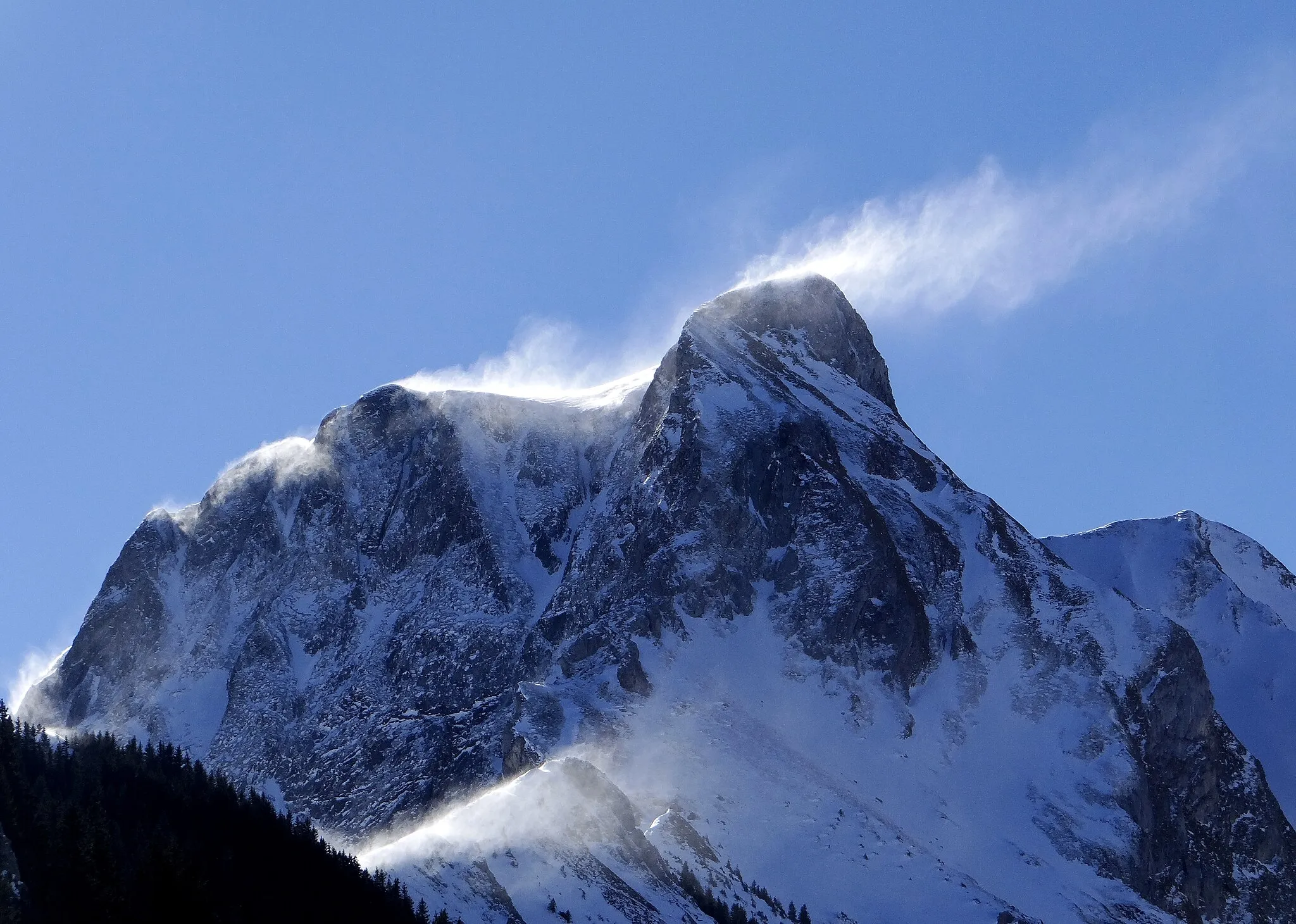 Photo showing: Naturpark Gantrisch