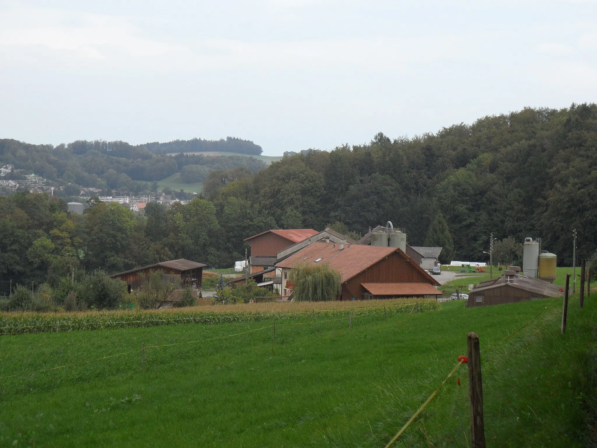 Photo showing: Hameau de Chésalles à Marly, canton de Fribourg en Suisse.