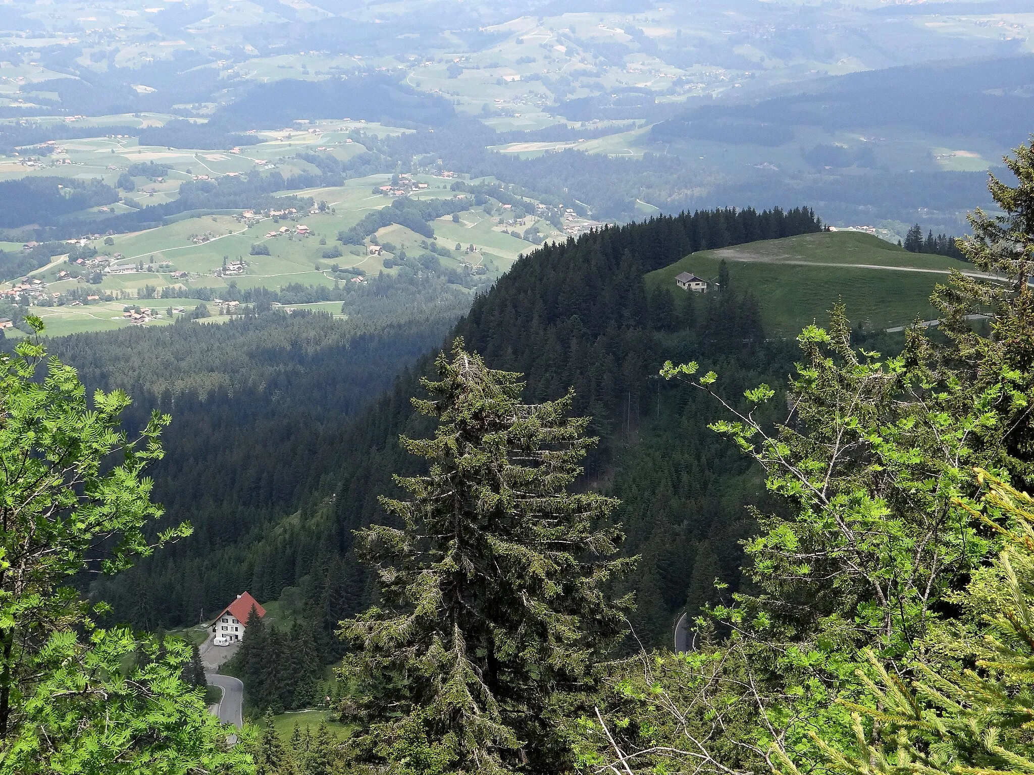 Photo showing: Nature Park Gantrisch