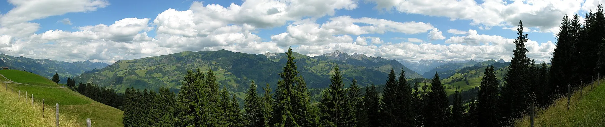 Photo showing: Simmental vom Jaunpass