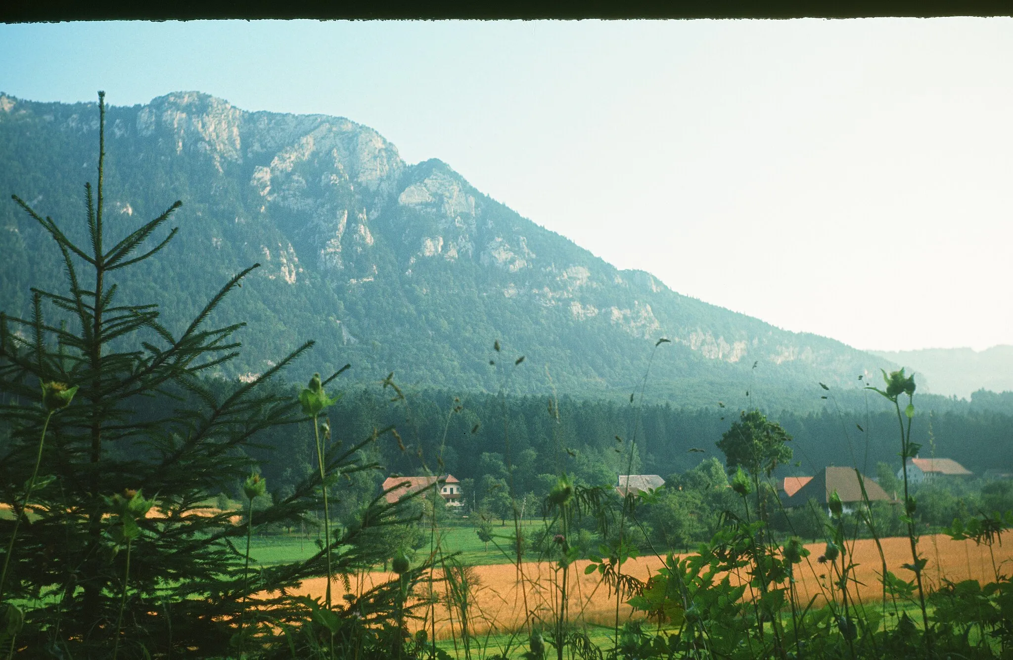 Photo showing: Im Hintergrund das Balmfluechöpfli