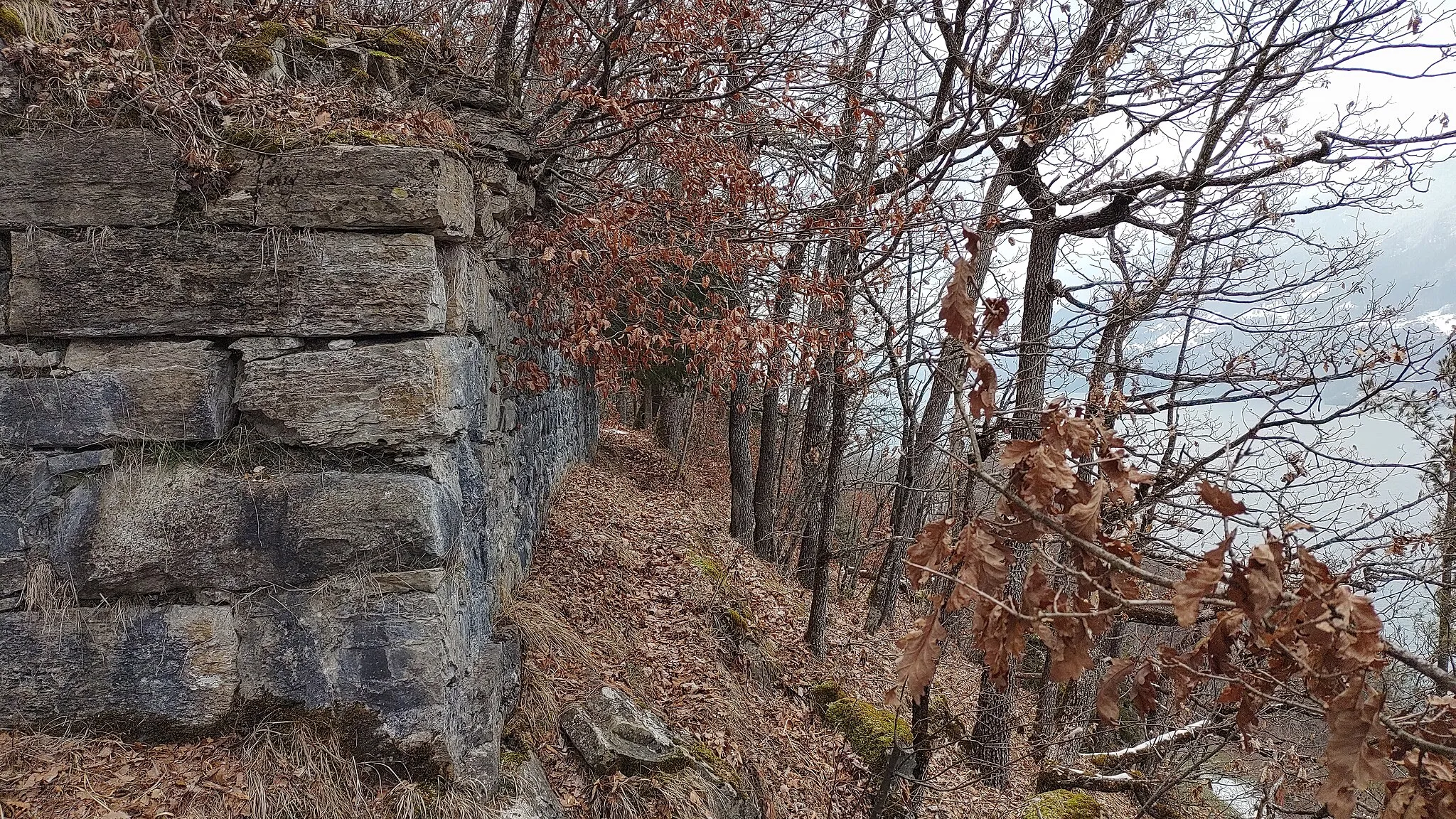 Photo showing: Ruine Schadburg - nordöstliche Blickrichtung