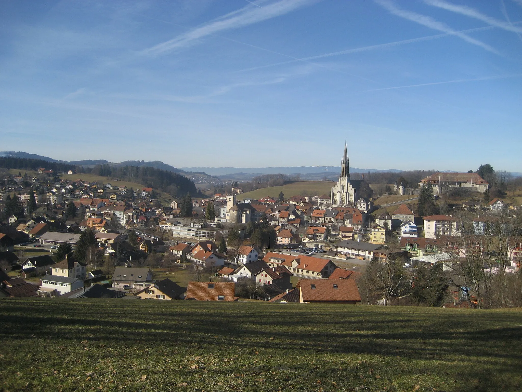 Photo showing: View of Chatel-St-Denis