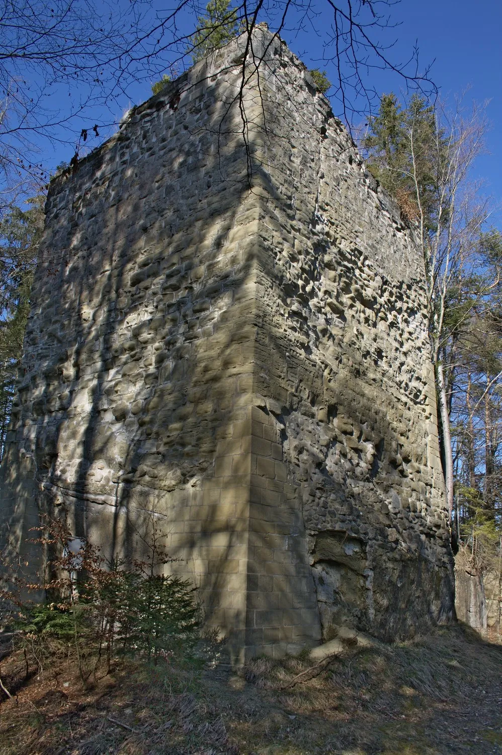 Photo showing: Der Bergfried der Burg Obermaggenberg