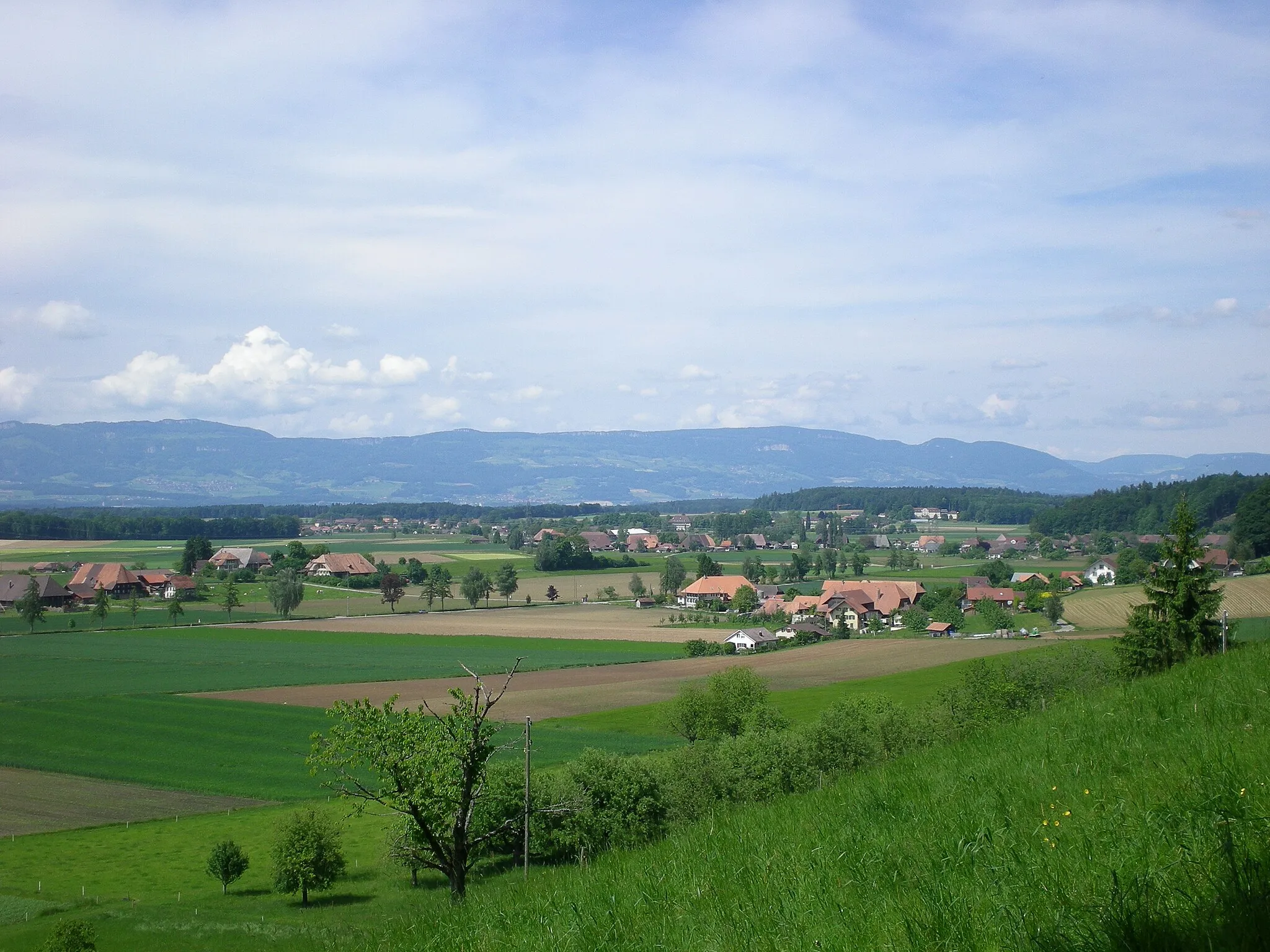 Photo showing: Ersigen Öschberg von Rudswil aus