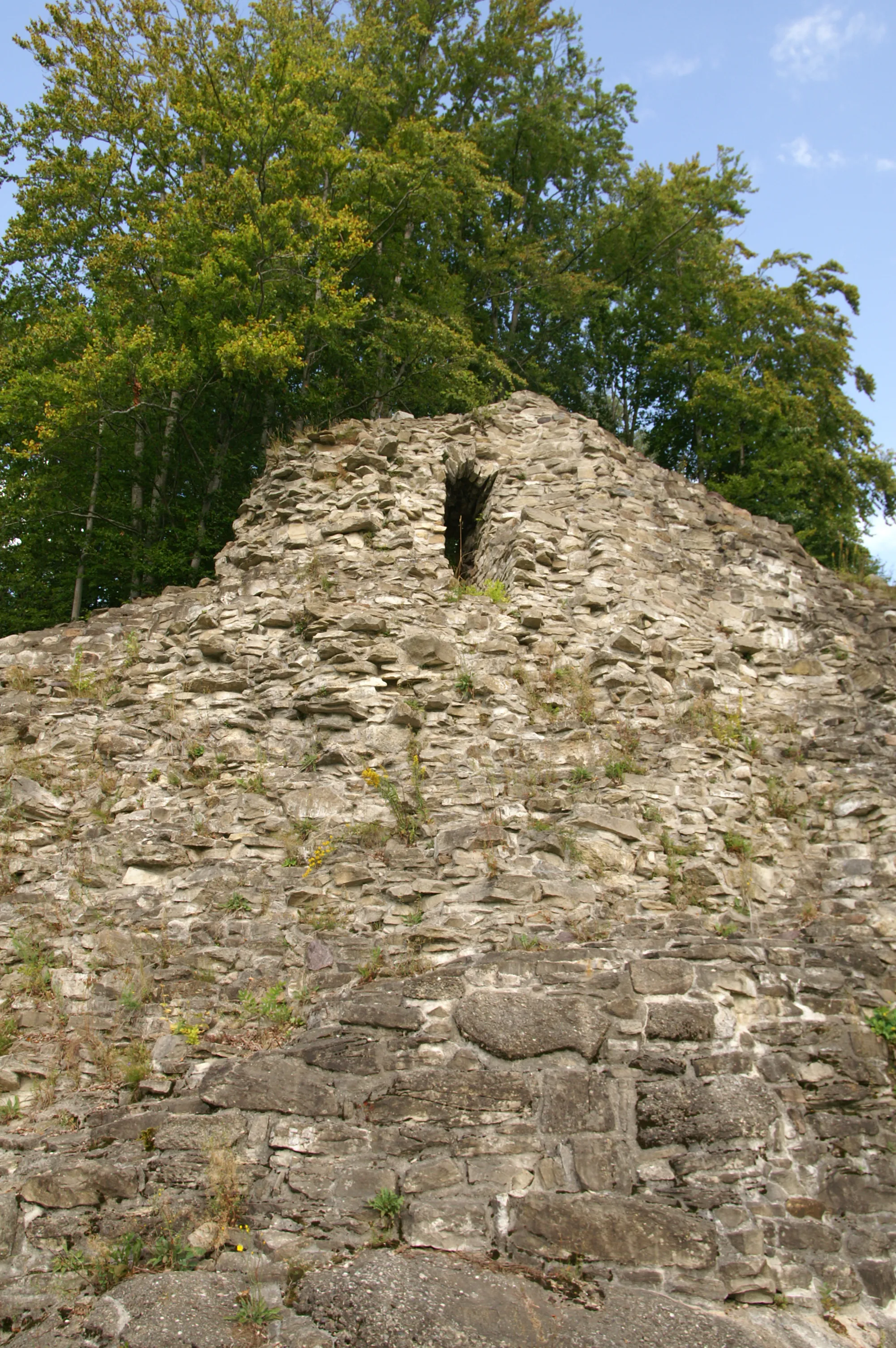 Photo showing: Ruines du Château de Bossonnens.