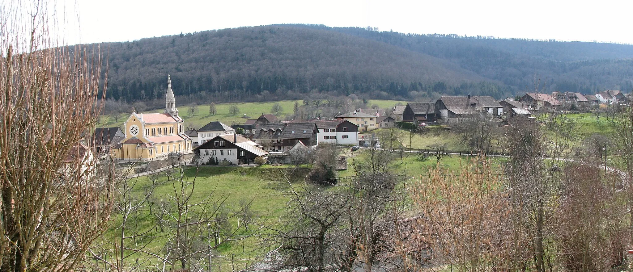 Photo showing: Bressaucourt vue générale