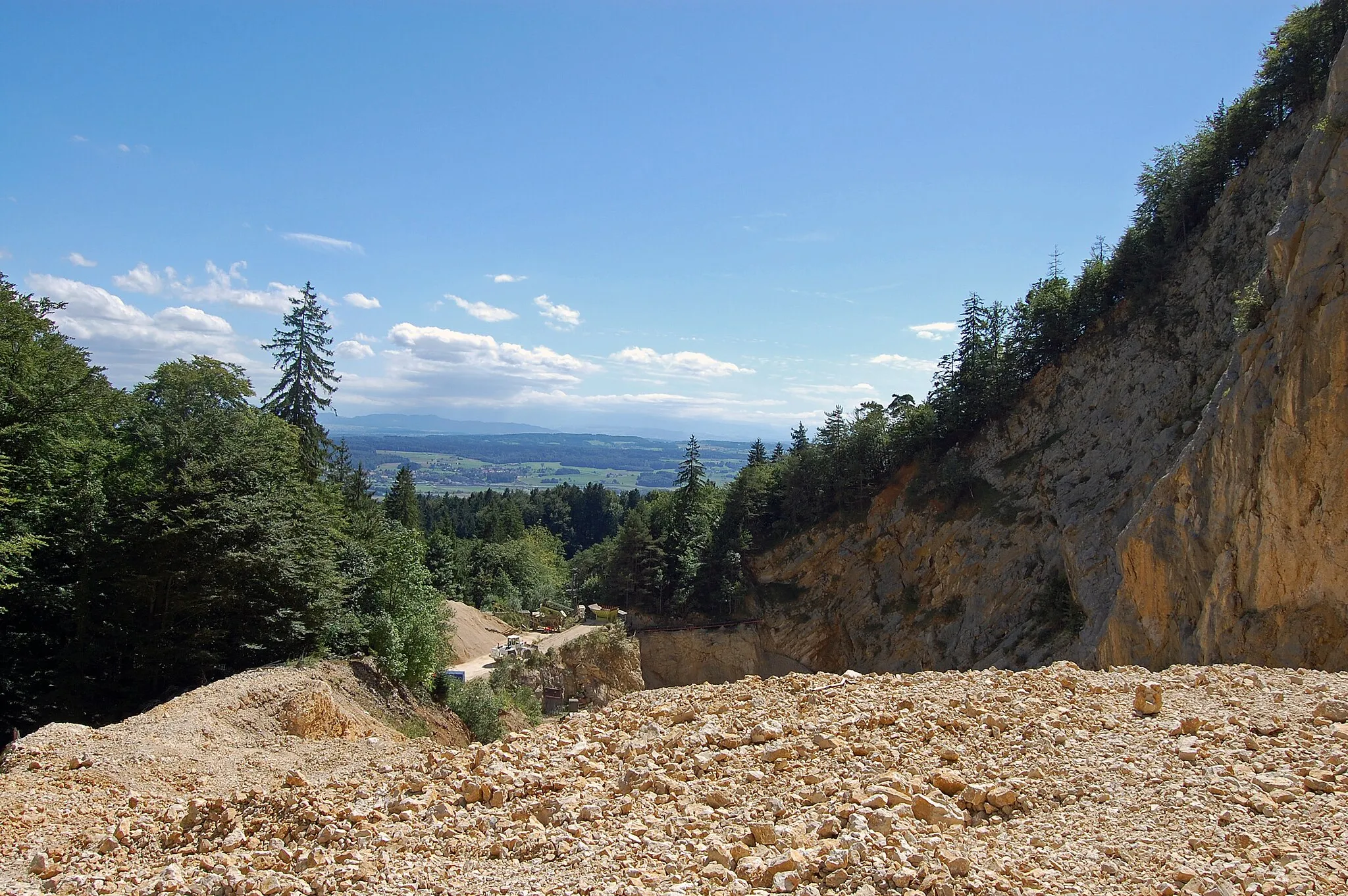 Photo showing: Ein Steinbruch in Oberdorf. Er ist am Wanderweg von Oberdorf zum Weissenstein gelegen. In ihm werden Jurakalksteine und Mergel gewonnen.