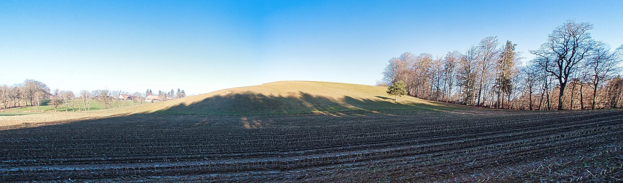 Photo showing: Behind the field rises the hill Montivert with the dry grassland of national importance in Pierrafortscha, Canton of Fribourg in Switzerland.