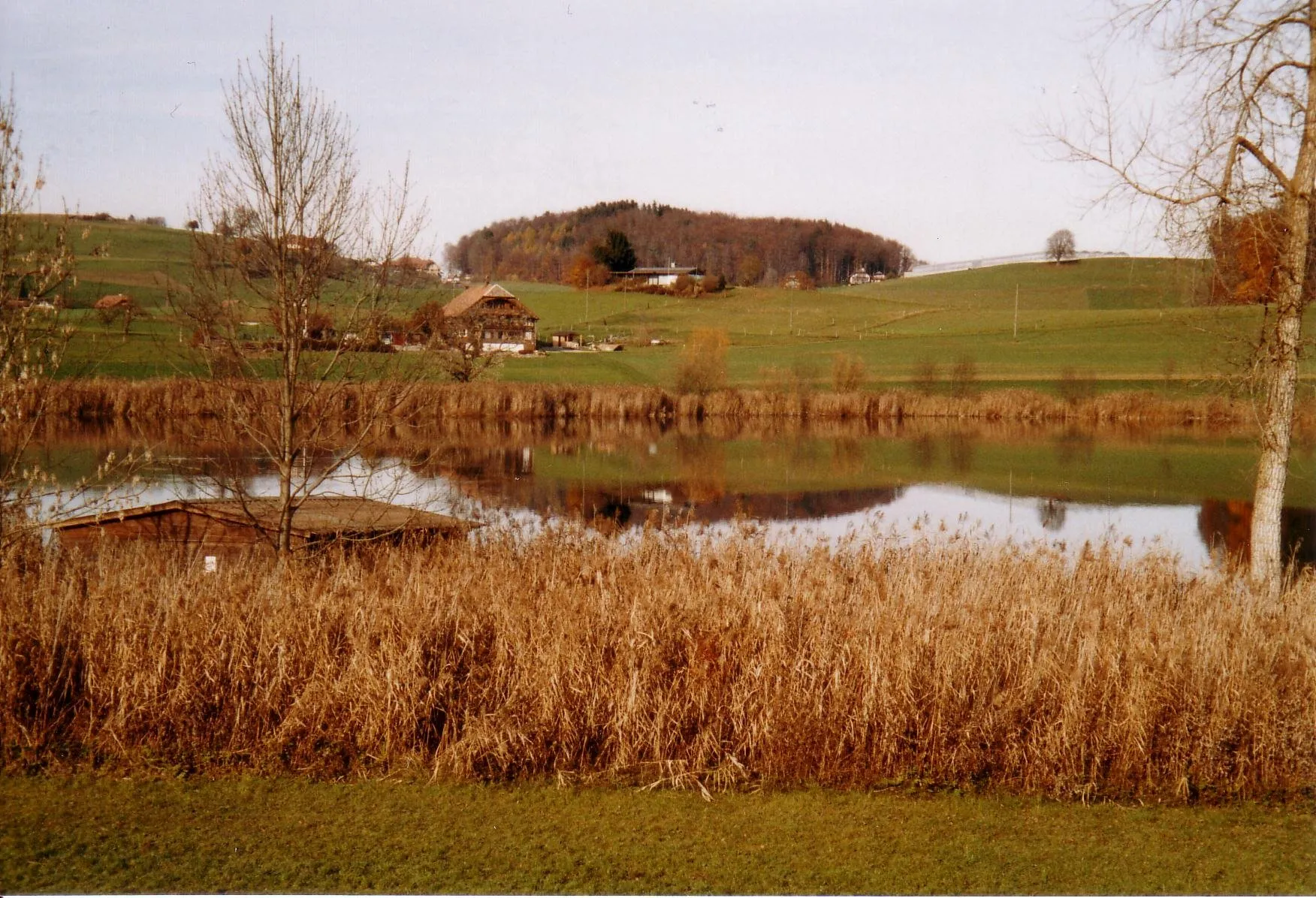 Photo showing: The lake Dittligsee at Längenbühl close to the municipalities of Blumenstein and Wattenwil, Canton of Berne, Switzerland.