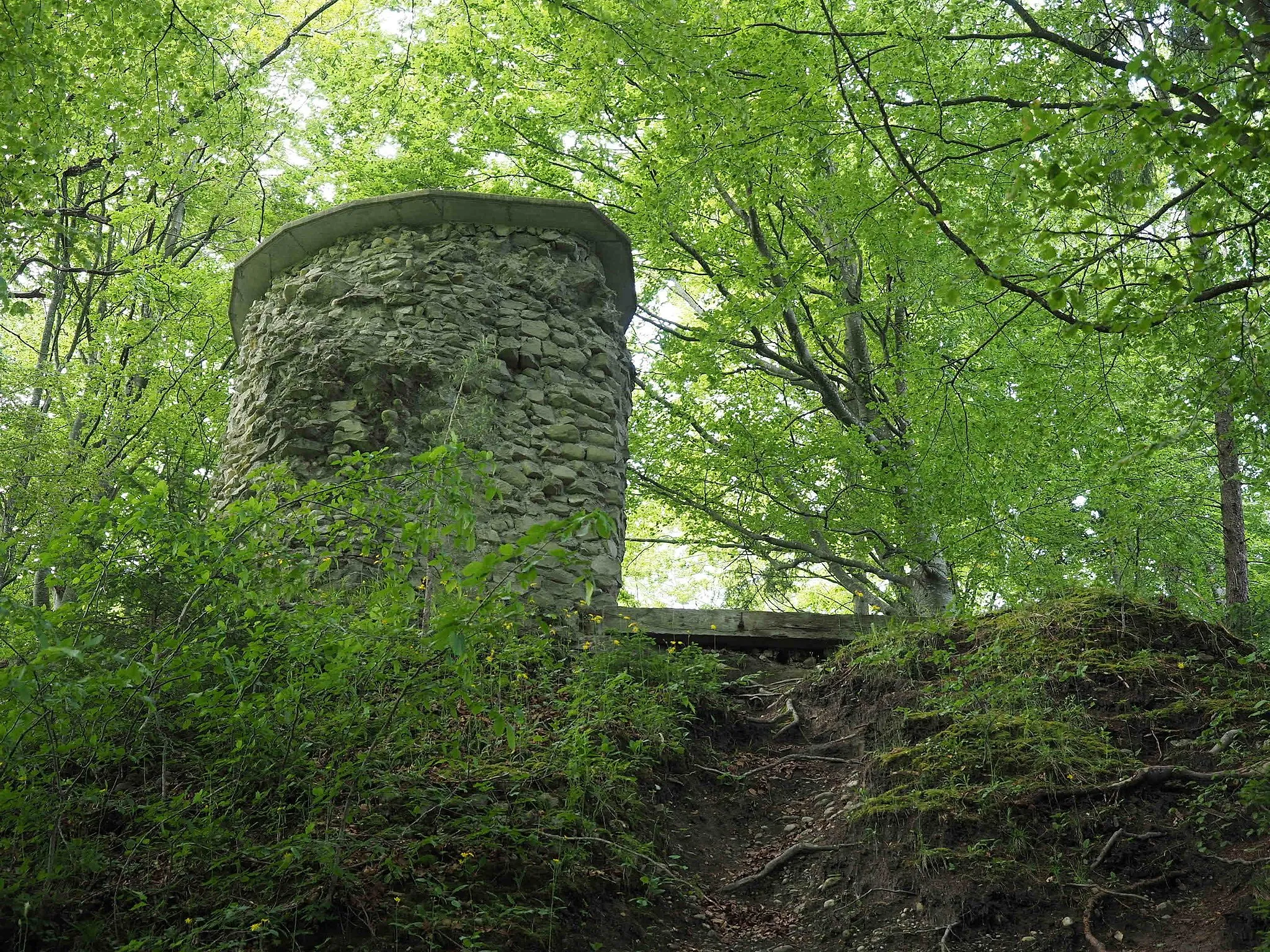 Photo showing: Ruine Wartenstein - Überreste Turm