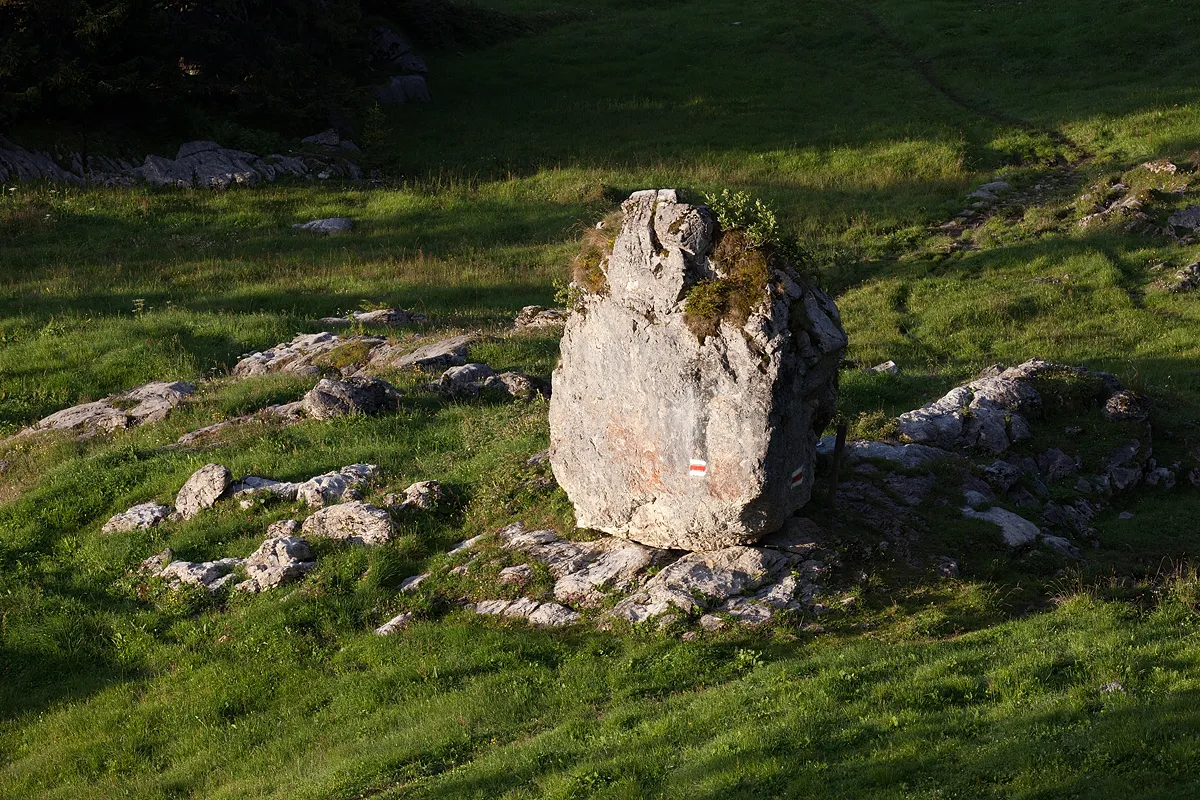 Photo showing: Der Chüebodmiblock (Kraftort)