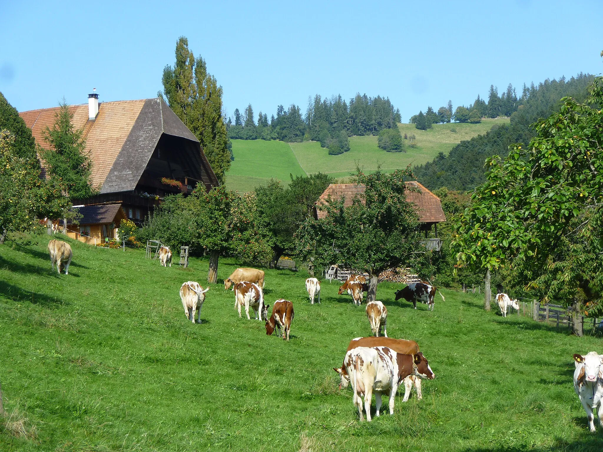 Photo showing: Statthalterhof Oberbleiken. Bernischer Bauernhof